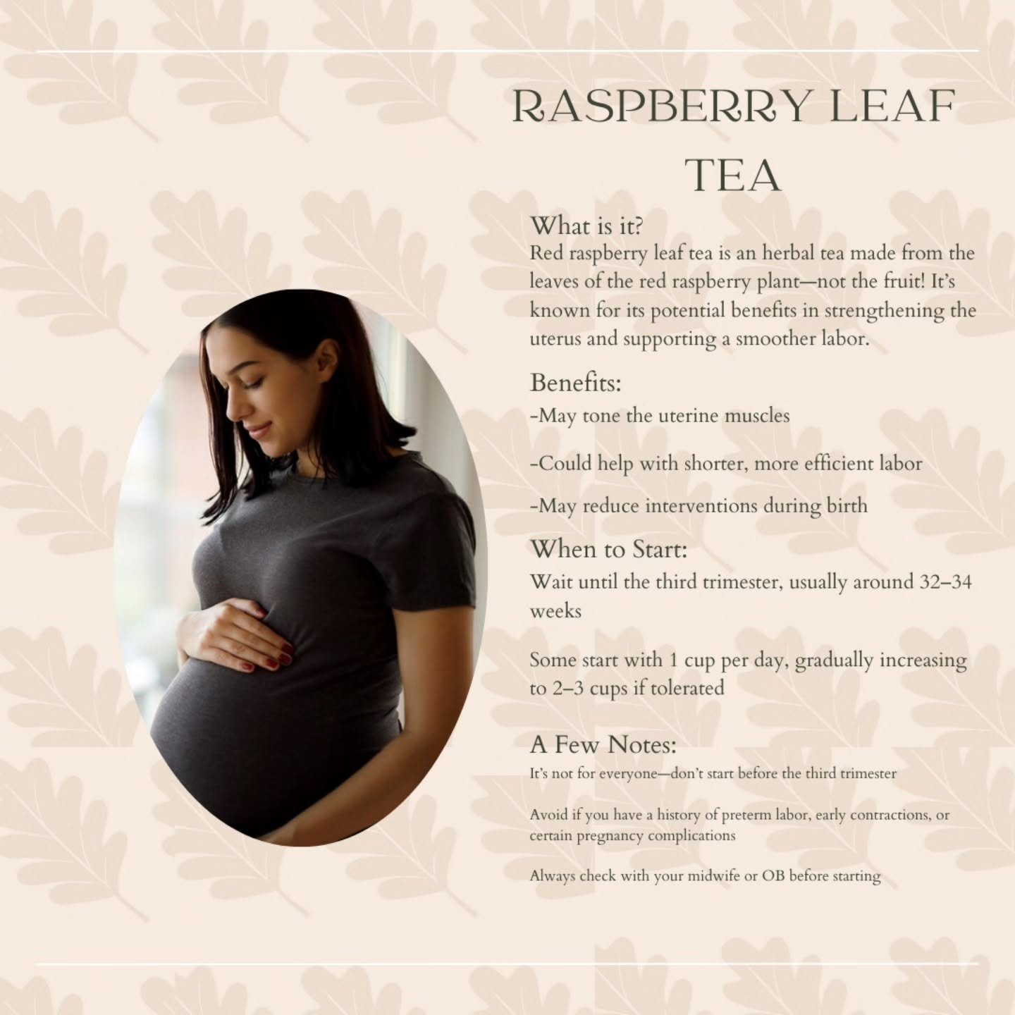 ✨ Red Raspberry Leaf Tea ✨
A gentle herbal ally for pregnancy and postpartum!  Known as a uterine tonic, it may help strengthen and tone the uterine muscles, support smoother contractions, and aid in postpartum recovery.

Here in Texas where it&rsquo