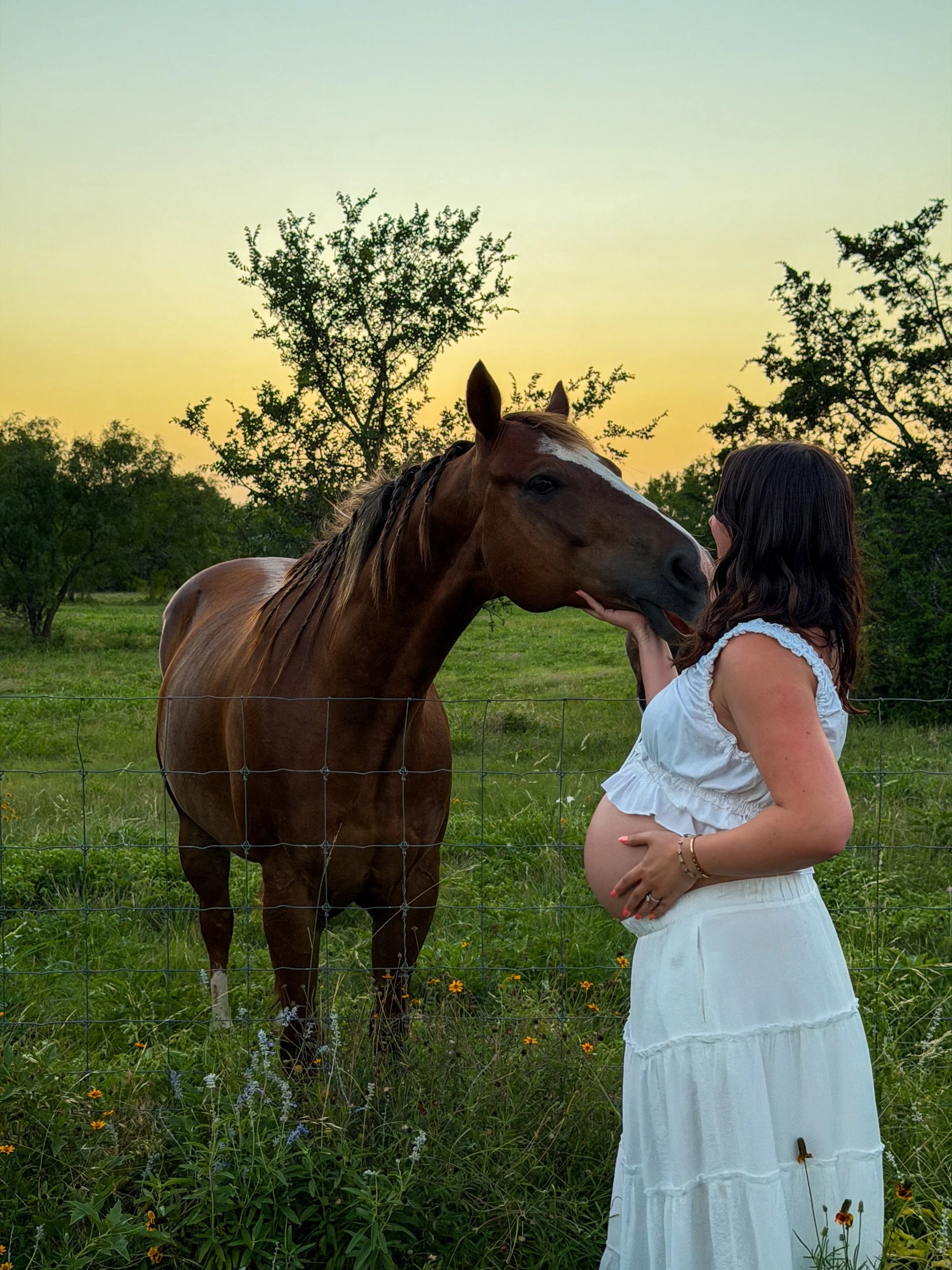A 1st time Pregnant mom, dressed in a white skirt and a cropped white top is petting a brown horse in a field at sunset located in Bulverde, Texas