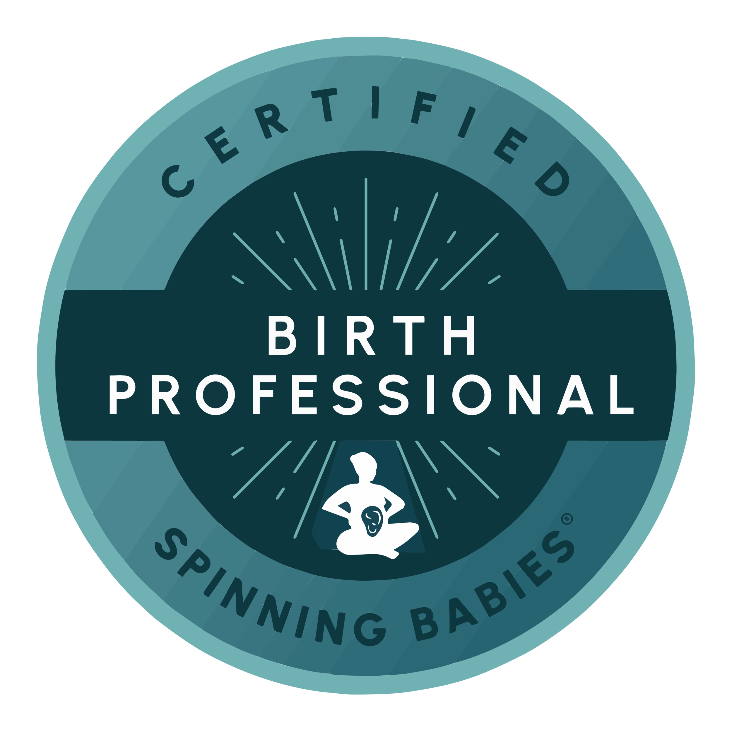 Close-up of a circular badge with the words 'CERTIFIED BIRTH PROFESSIONAL Spinning Babies' and a Silhouette of a pregnant woman sitting.