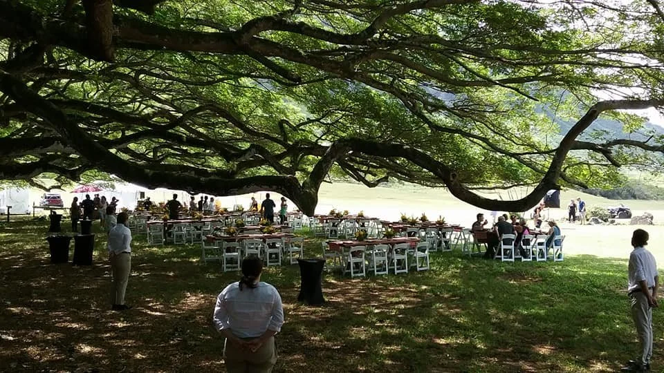 Corporate_Picnic Lunch.jpeg