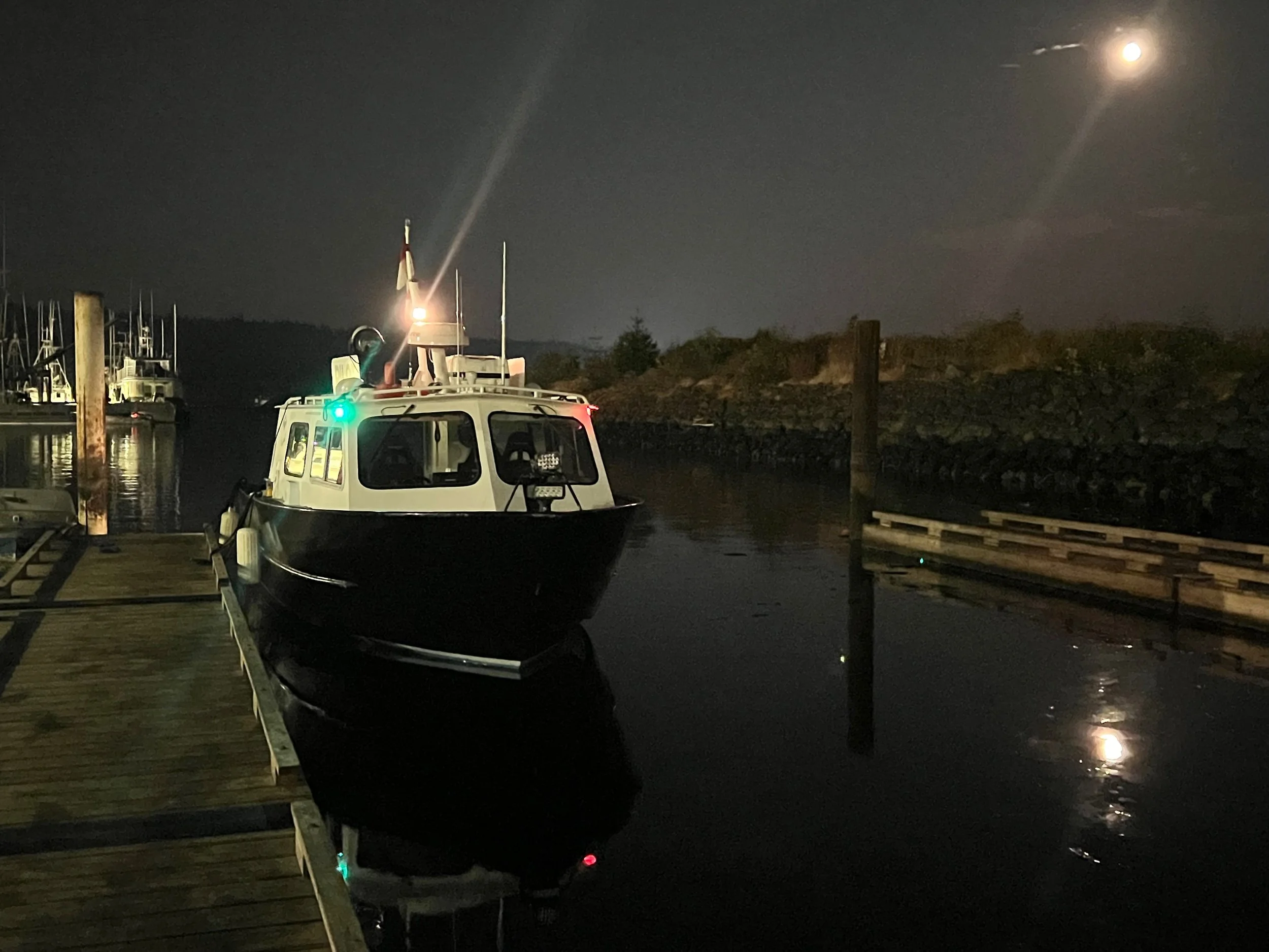 Ganges Hawk_0344.jpeg