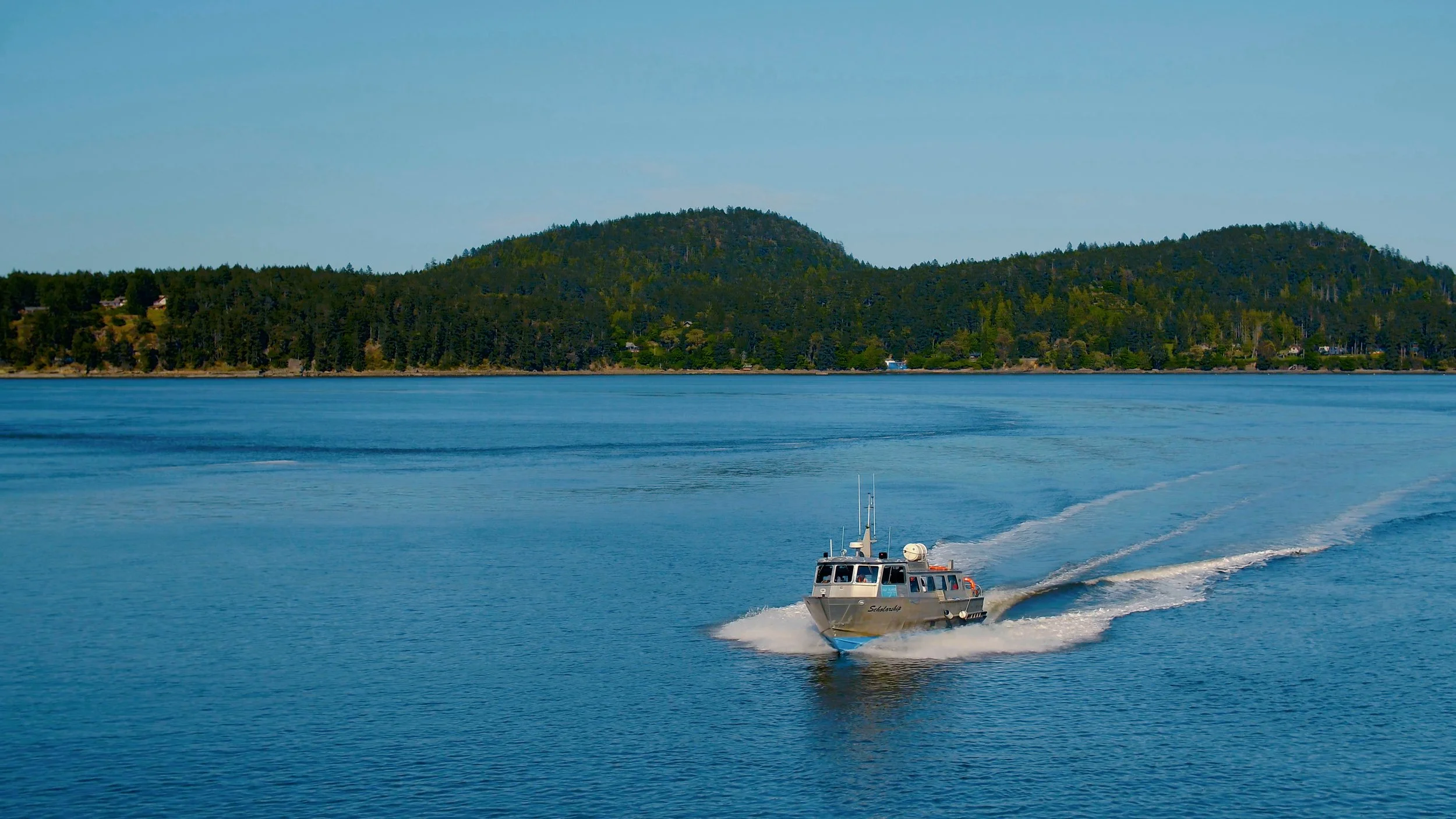 Mayne 33 - Charlie.jpg