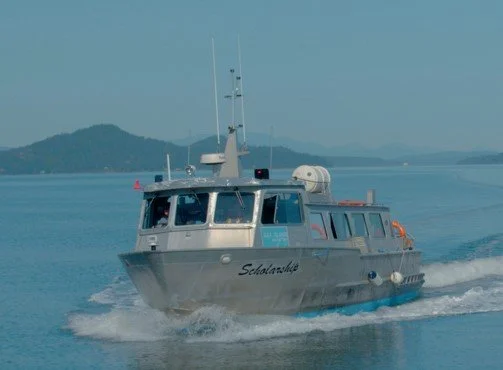 Scholarship underway cropped.jpg