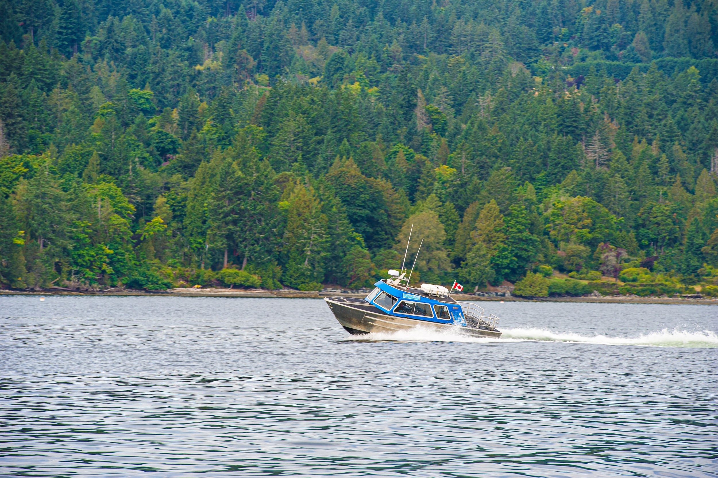 Skip Jack port side turn.jpg