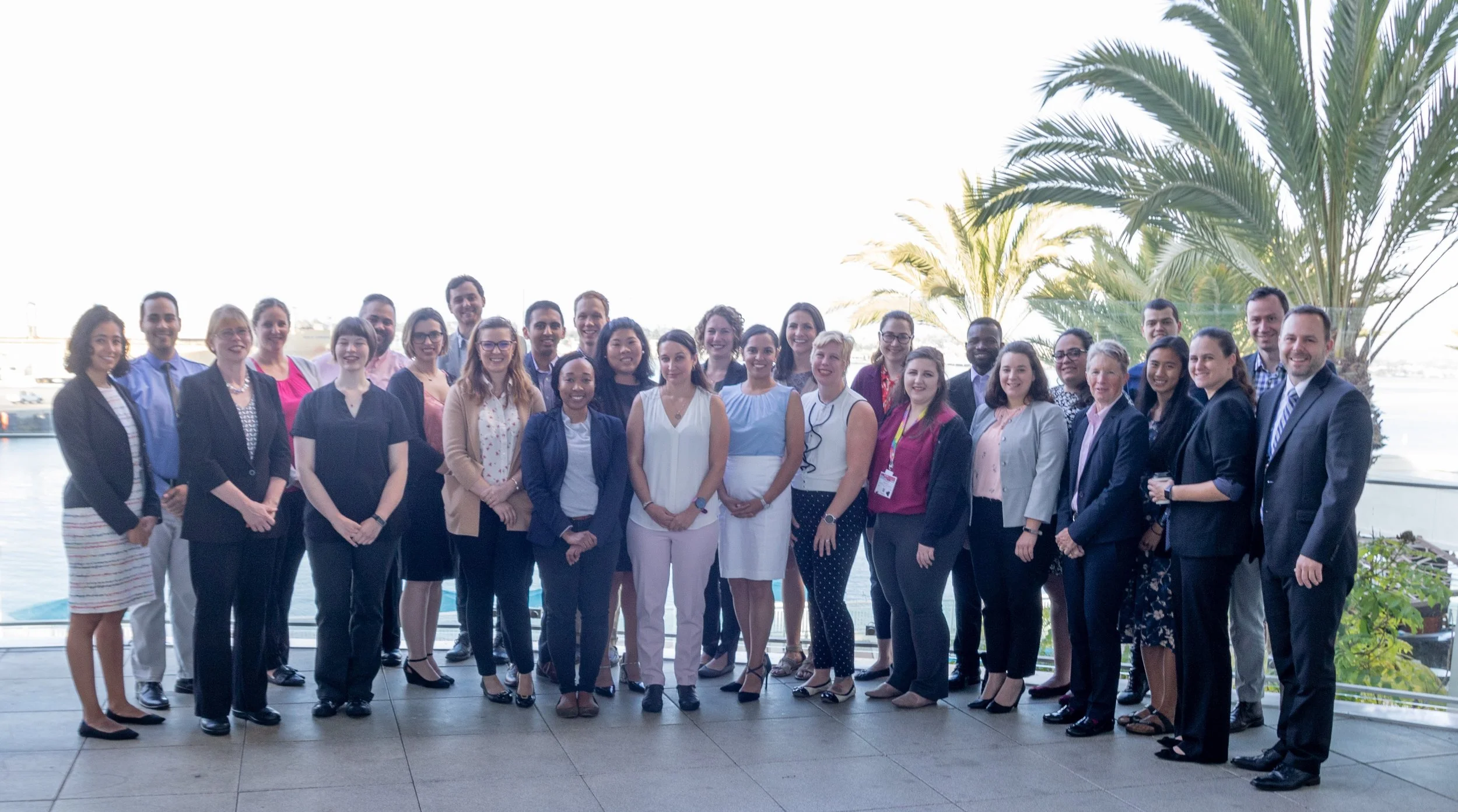 2017 ACS Younger Chemists Committee