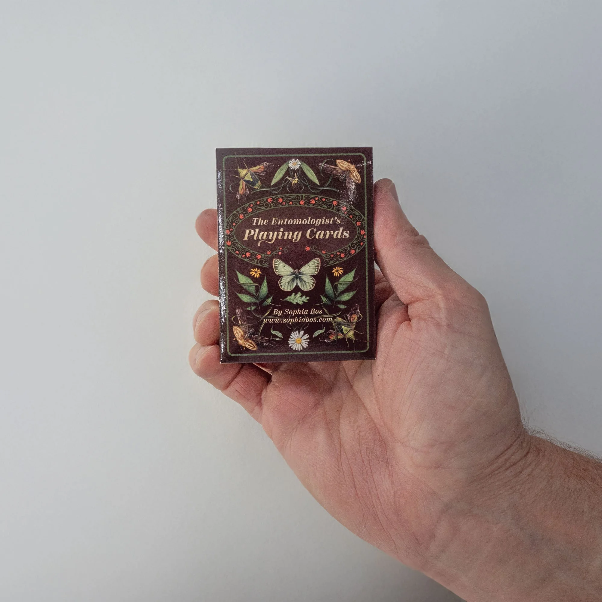 SophiaBos-EntomologistsPlayingCards-4.jpg