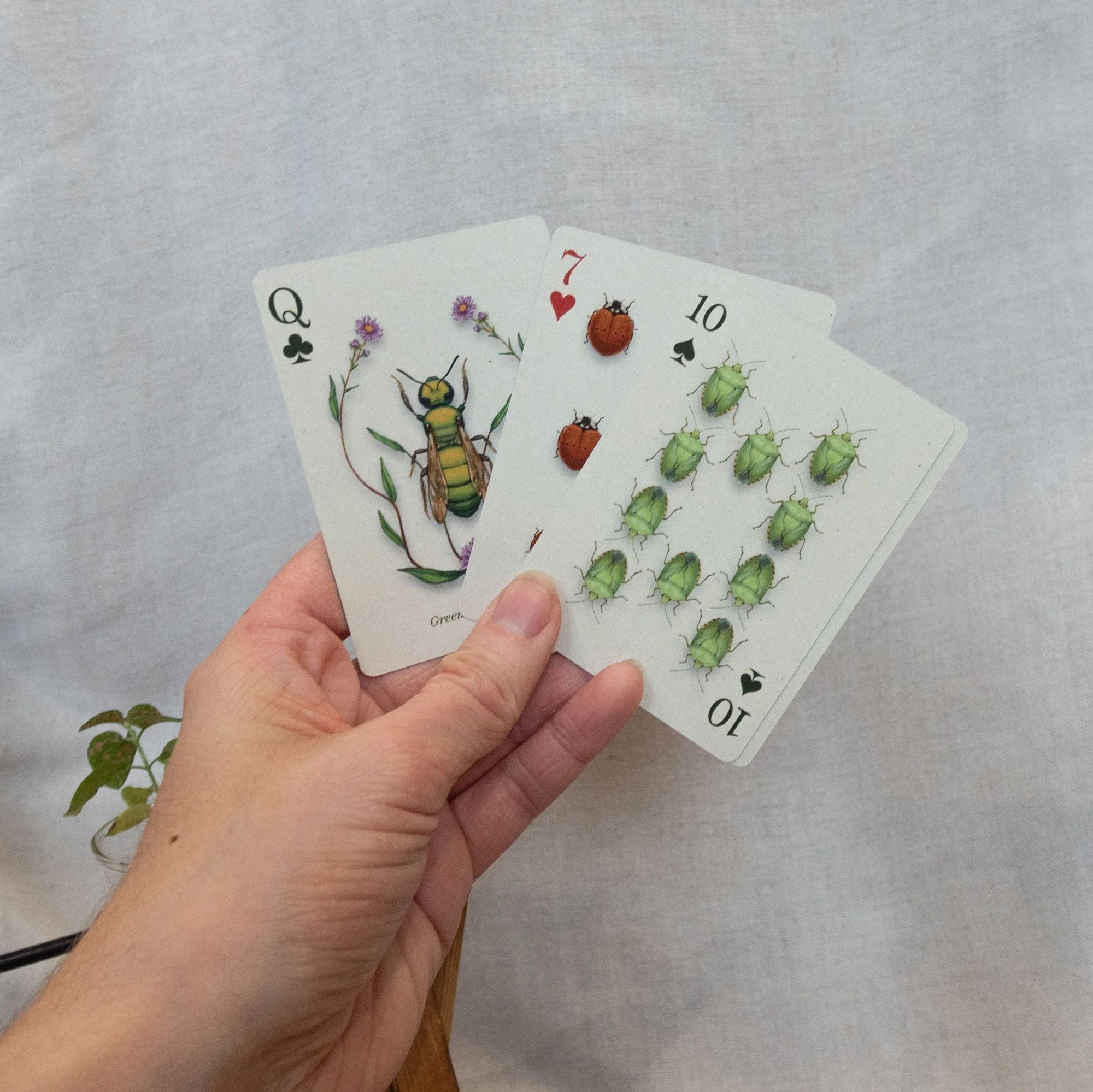 SophiaBos-EntomologistsPlayingCards-2.jpg