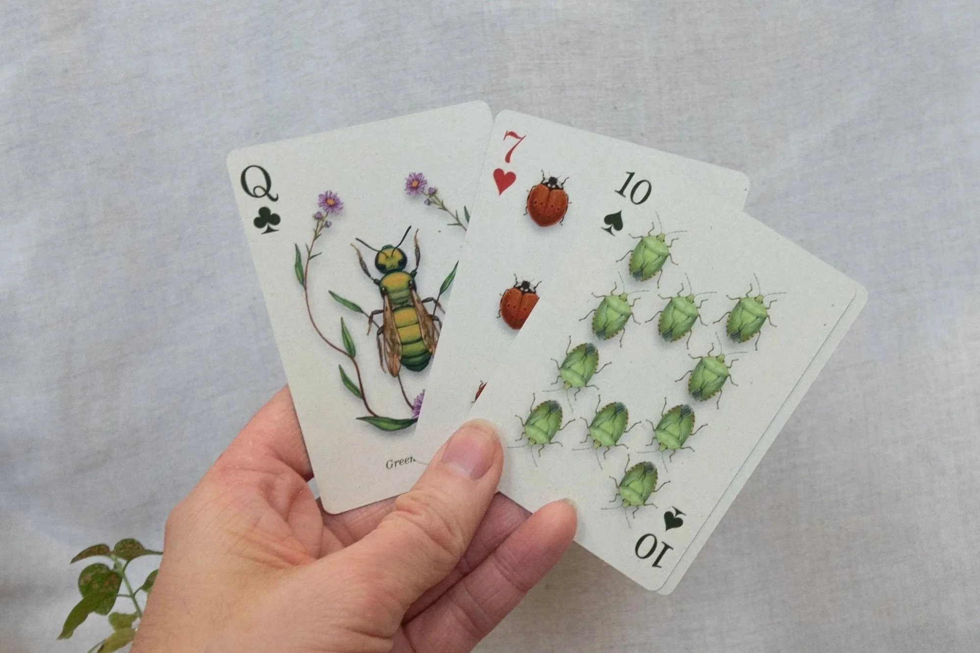 Discounted (damaged box) - The Entomologist's Playing Cards