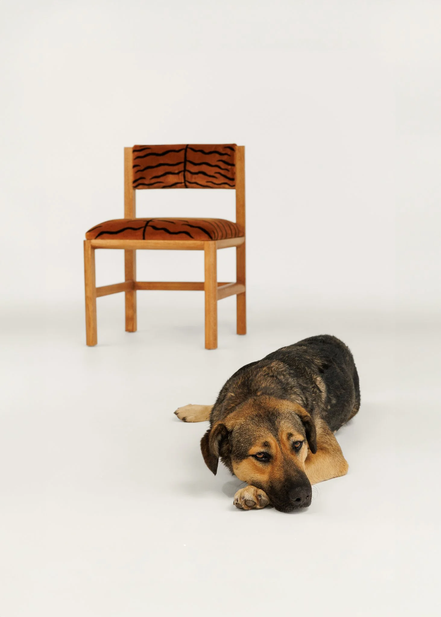 IDC-CH-01 IAMDC Chair (2).jpg