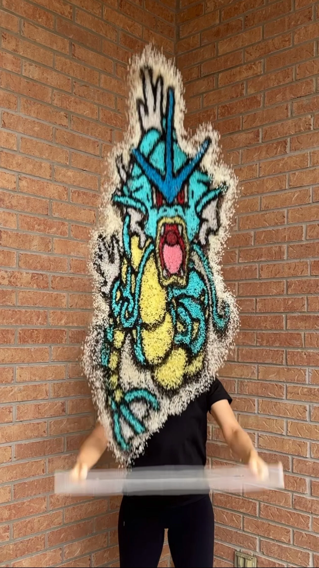 Gyarados Toss Up.jpg