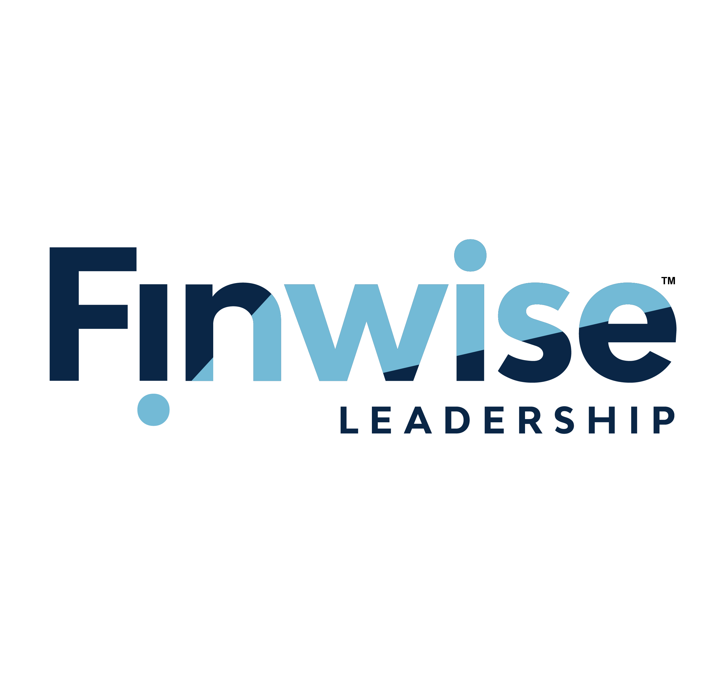 Logo with the words 'Finwise Leadership' in blue, with stylized magnifying glass icon and arrow detail.