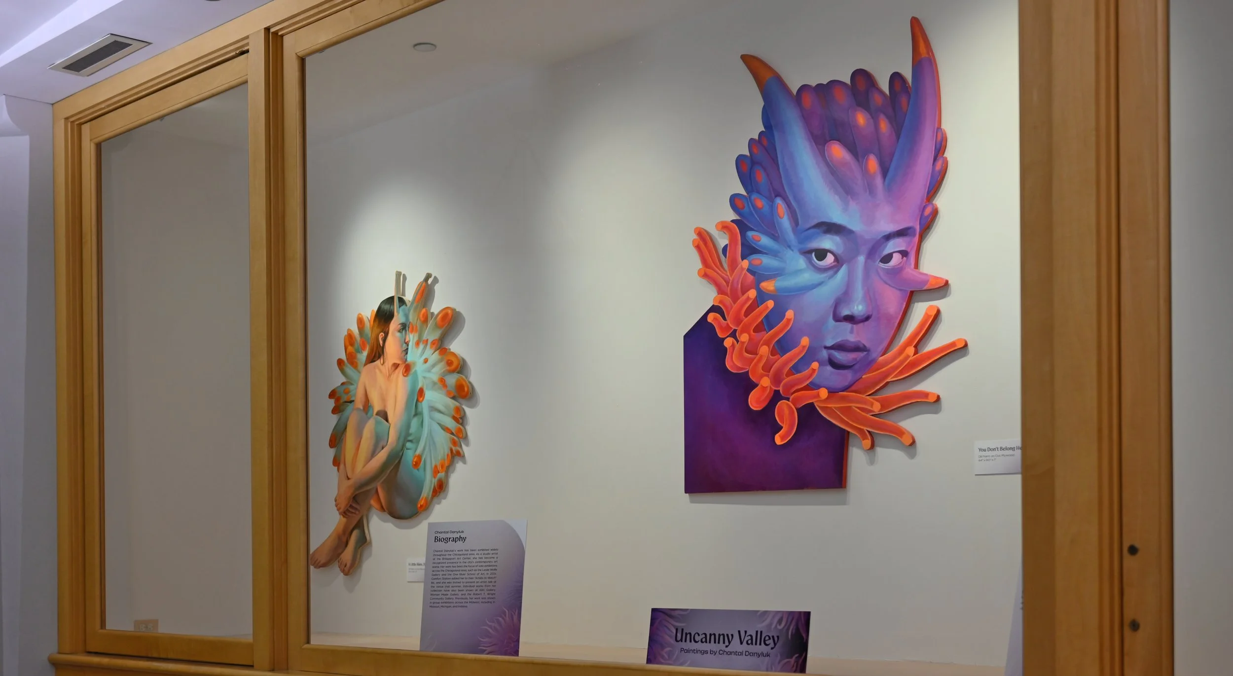 Display Case Goodish Small.JPG