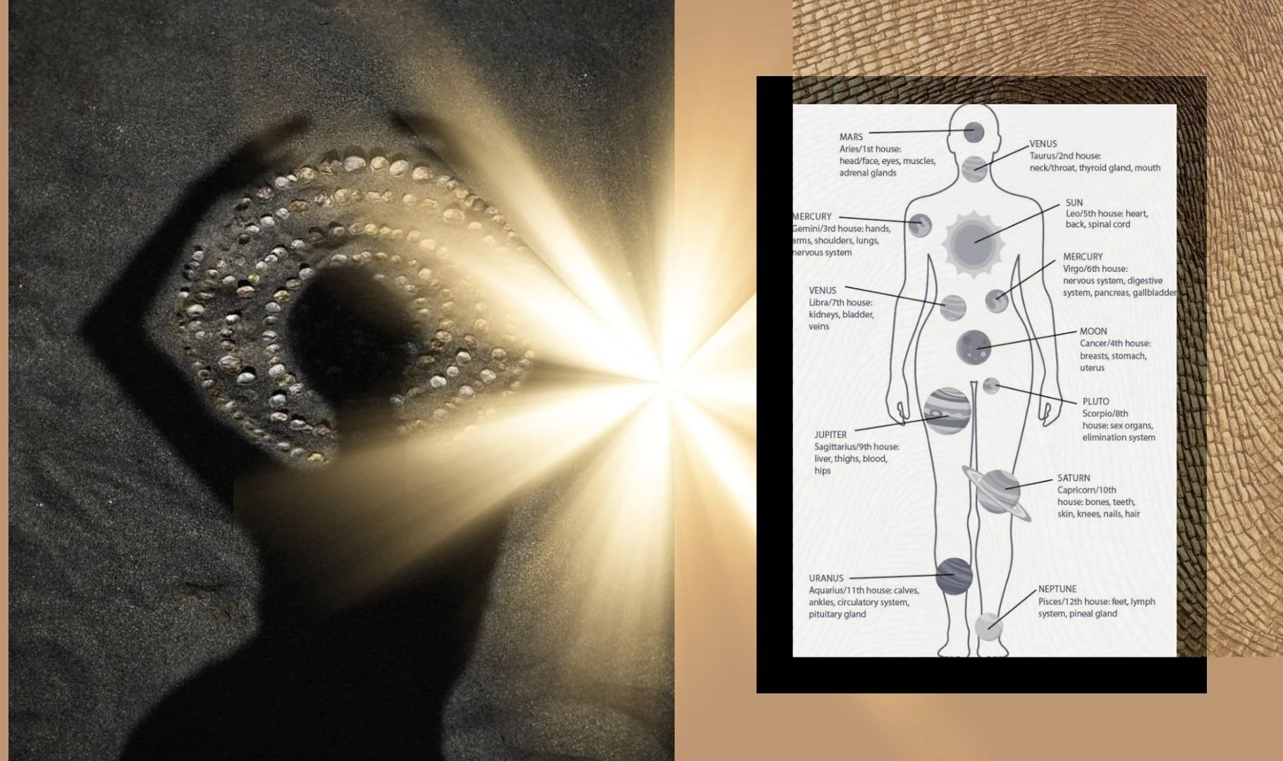 As is the body so is the universe