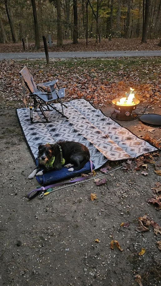 A dog resting on a camping mat next to a portable fire pit at a wooded campground, representing the outdoor lifestyle behind XCursion Concepts.