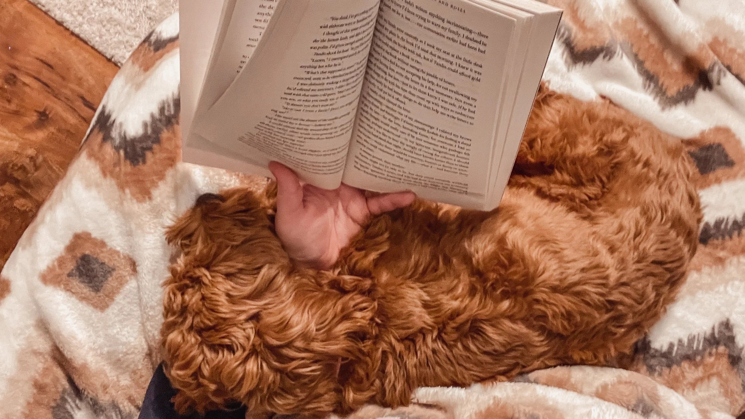 The Five Foundations of Self-Care