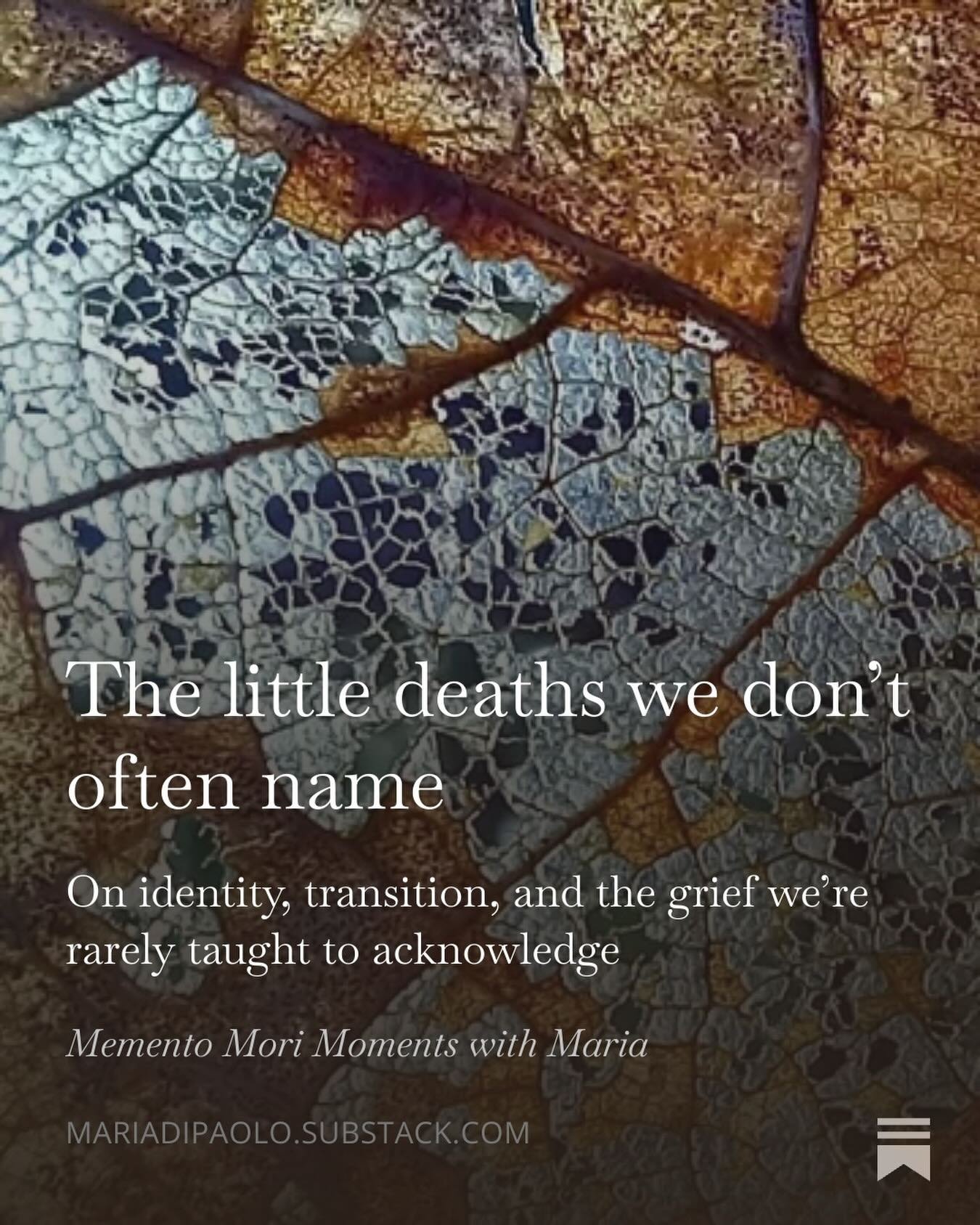 Some losses don&rsquo;t look like loss.

There&rsquo;s no funeral. No obituary. No moment when the world pauses and says, of course this hurts.
And yet something meaningful has ended.
A version of you. A future you once imagined. A role you no longer