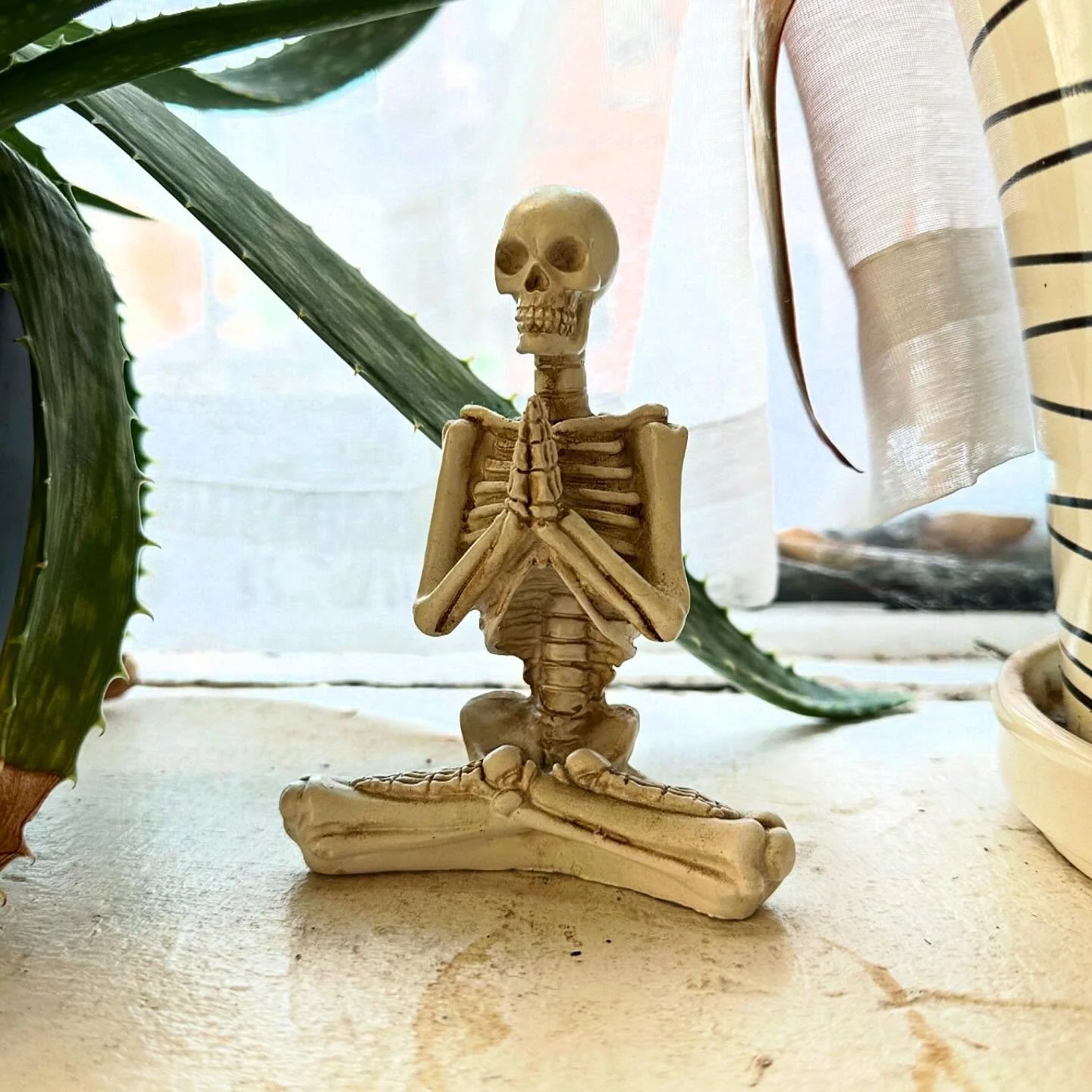 Found this little guy at yoga today. Death is all around us, if you look. It&rsquo;s a quiet teacher. And there&rsquo;s a comfort in remembering that. 
Memento mori.

&mdash;
#mementomori #mementomorimoments #deathpositive