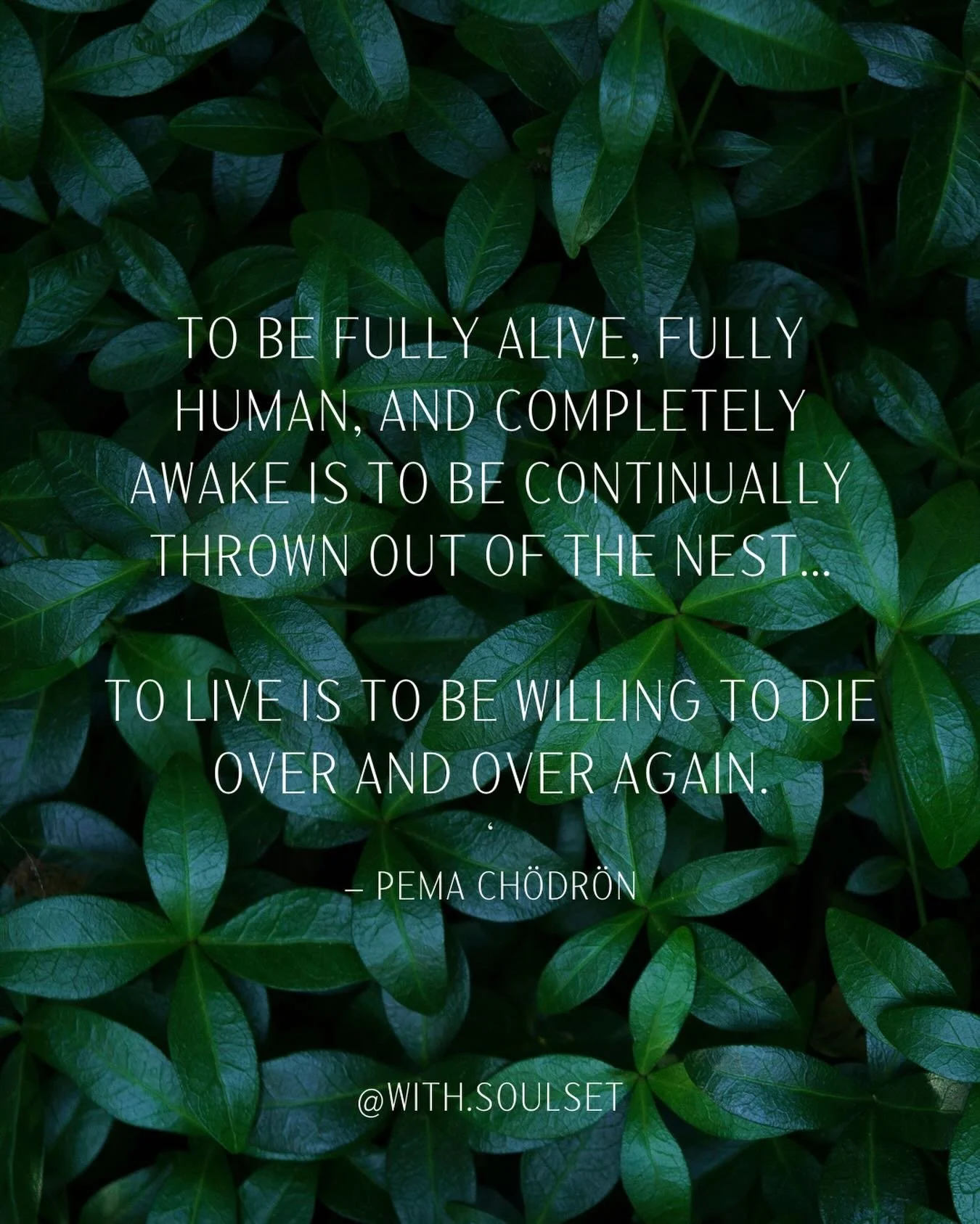 To be fully alive, fully human, and completely awake is to be continually thrown out of the nest.
To live fully is to be always in no-man&rsquo;s land, to experience each moment as completely new and fresh.
To live is to be willing to die over and ov
