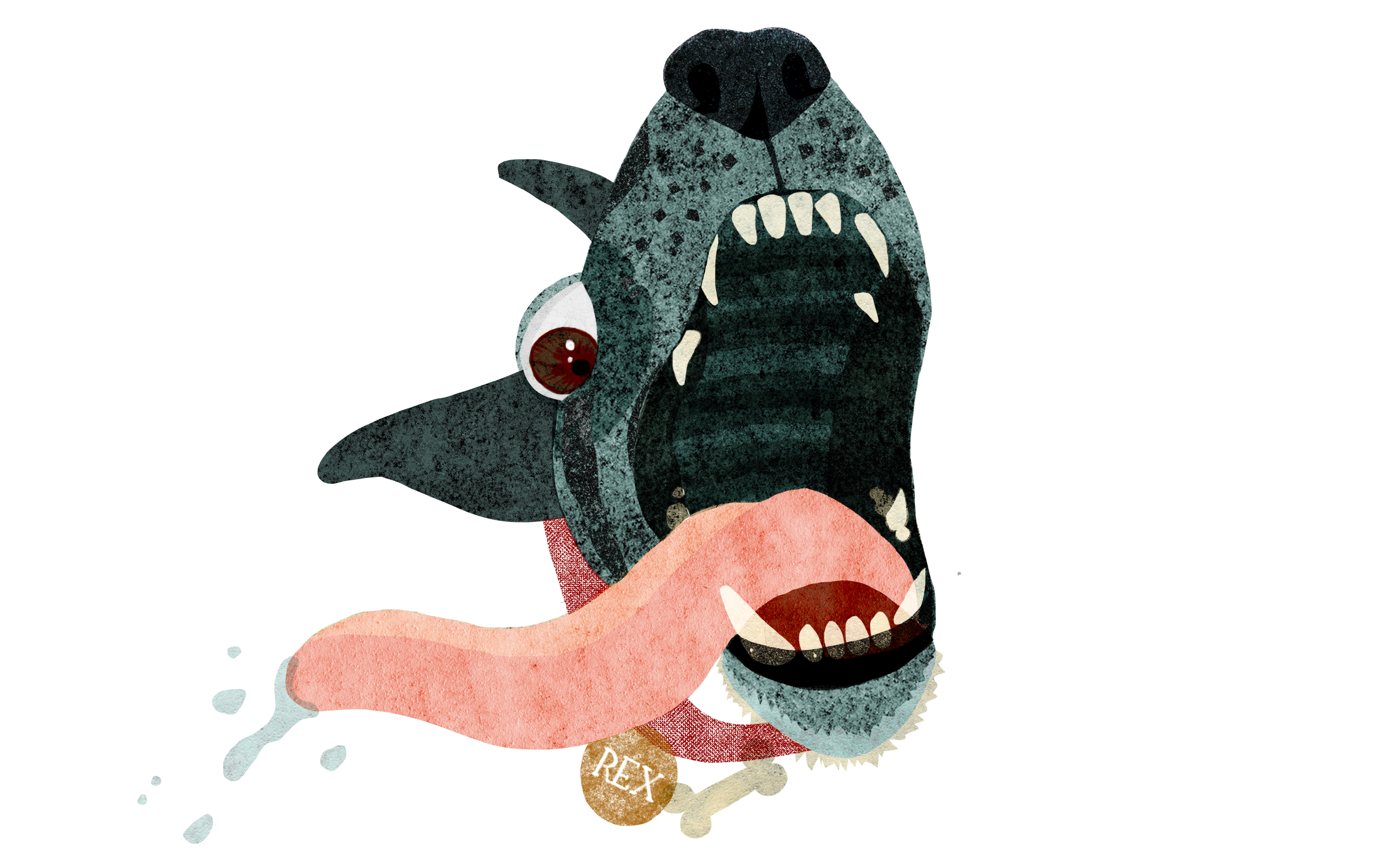 tud4 copy.png