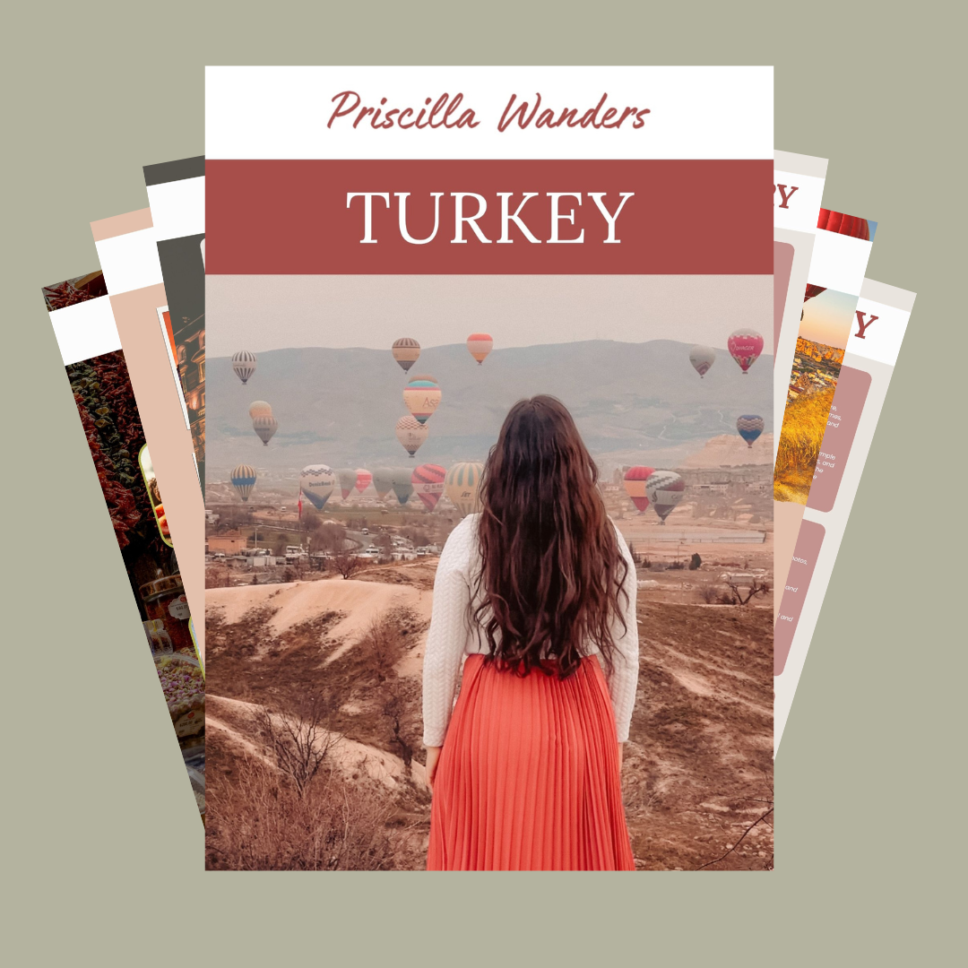 Turkey Guide.png.png
