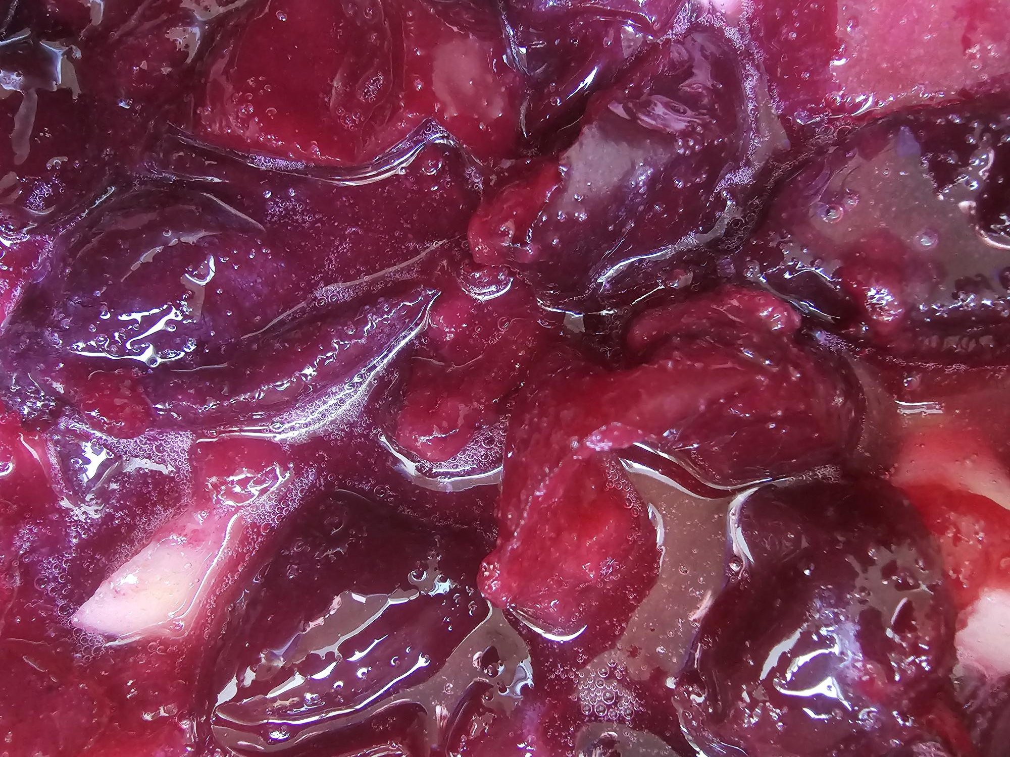 Davidson Plums simmer.jpg
