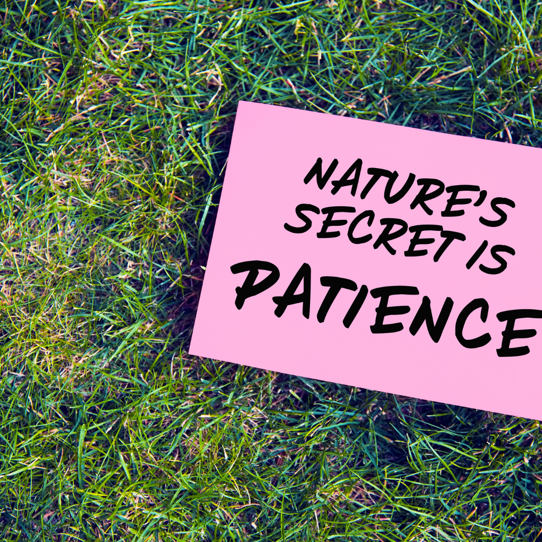 A Letter About Patience (Especially If You’re Healing From Burnout)