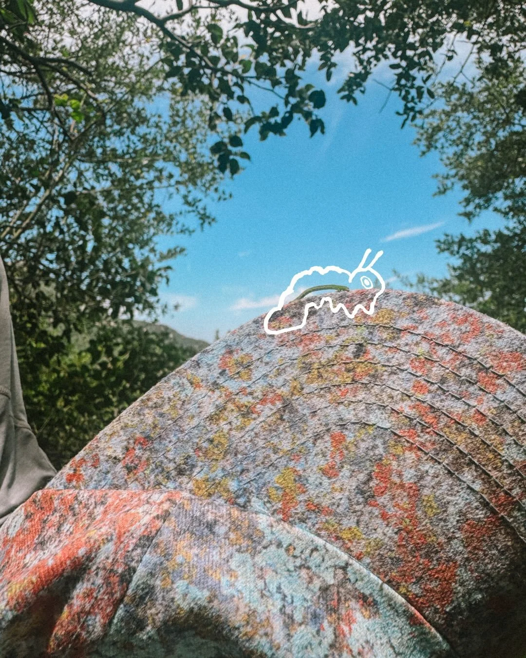 A W.H.I.M. bug in the wild. Safe to say he&rsquo;s lichen that 🐛 
-
-
-
-
-
-
-
#nature #outdoors #climbing #adventure #camping