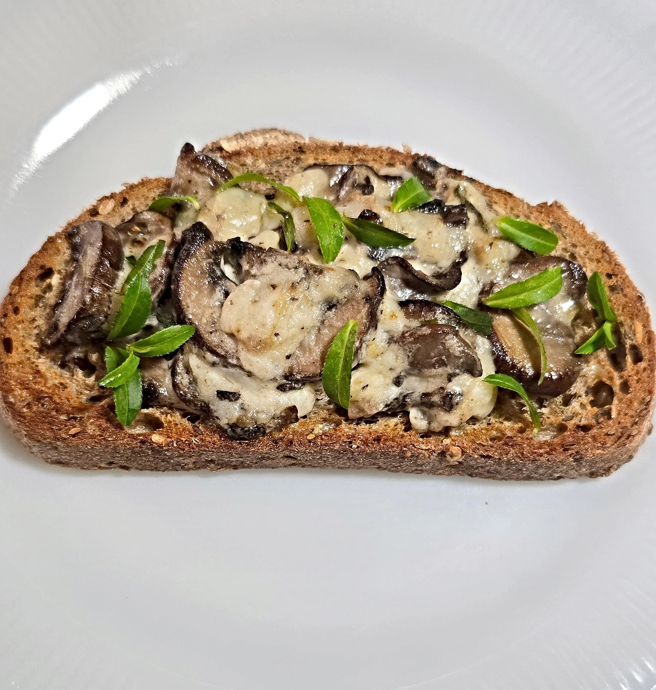 Southern Toast Story: From Butter Puddles to Mushroom Melts