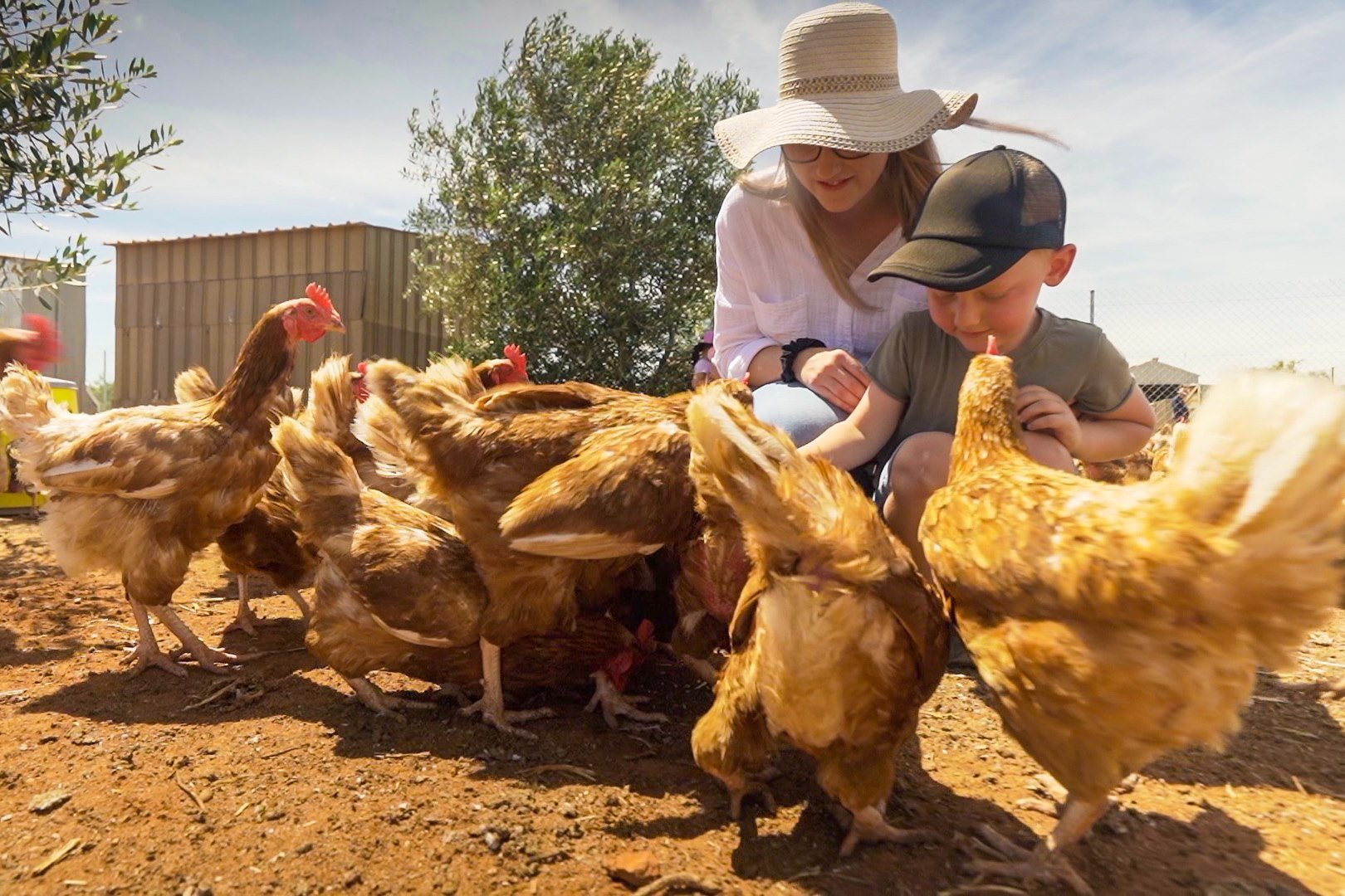  Benetook Farm, Mildura 