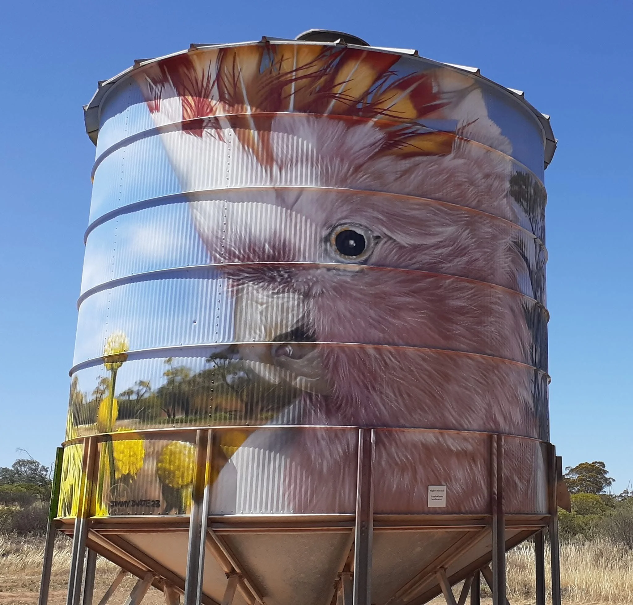 Werrimull silo art.jpeg