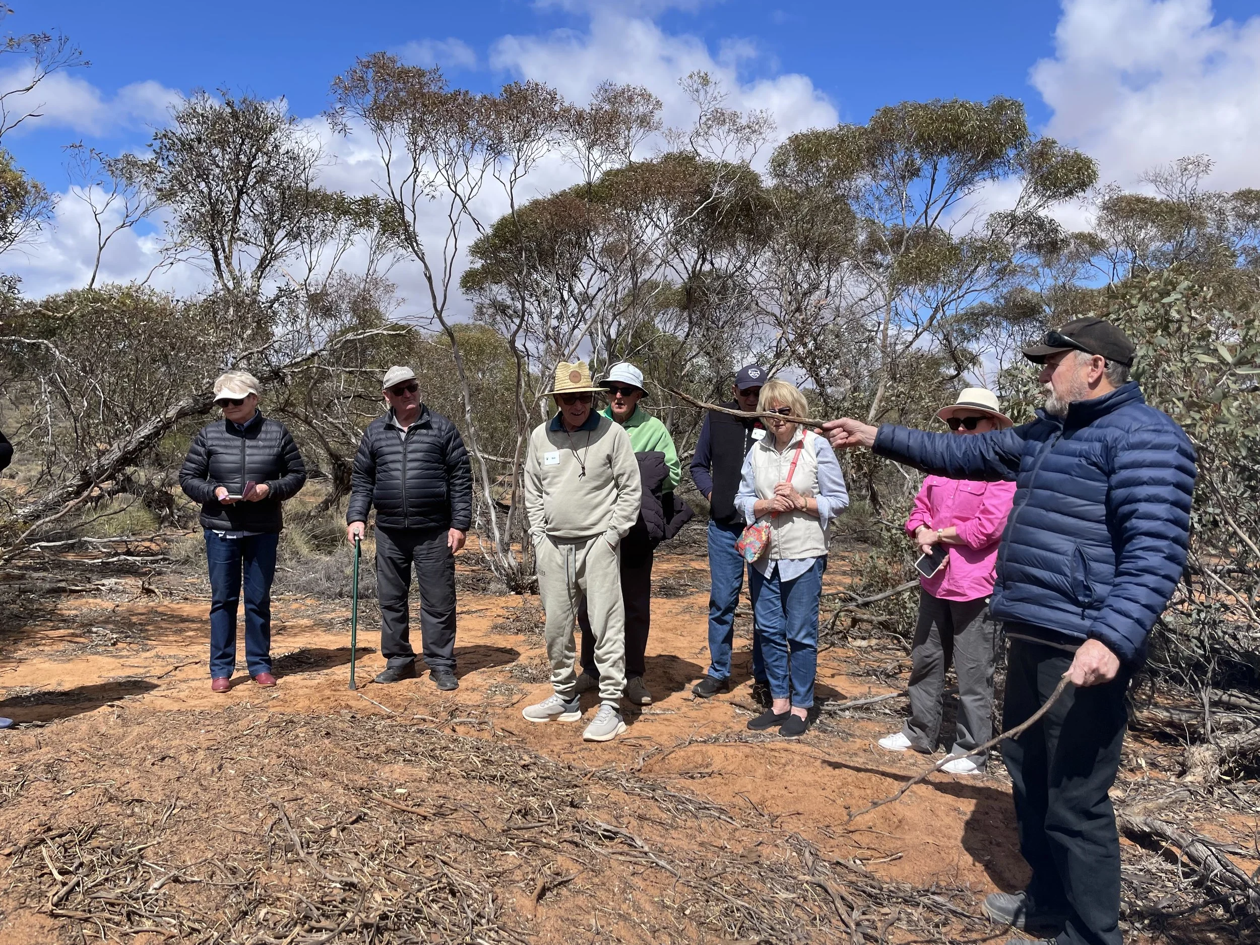 dementia activities in nature