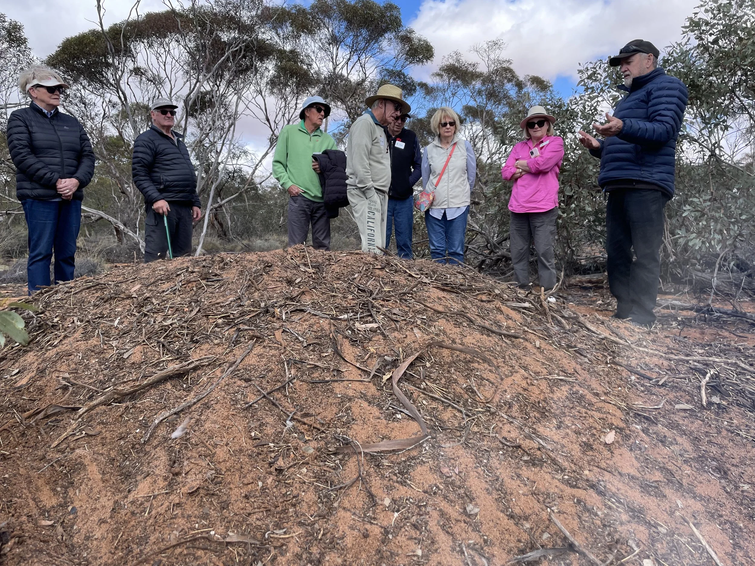 carer support dementia mildura