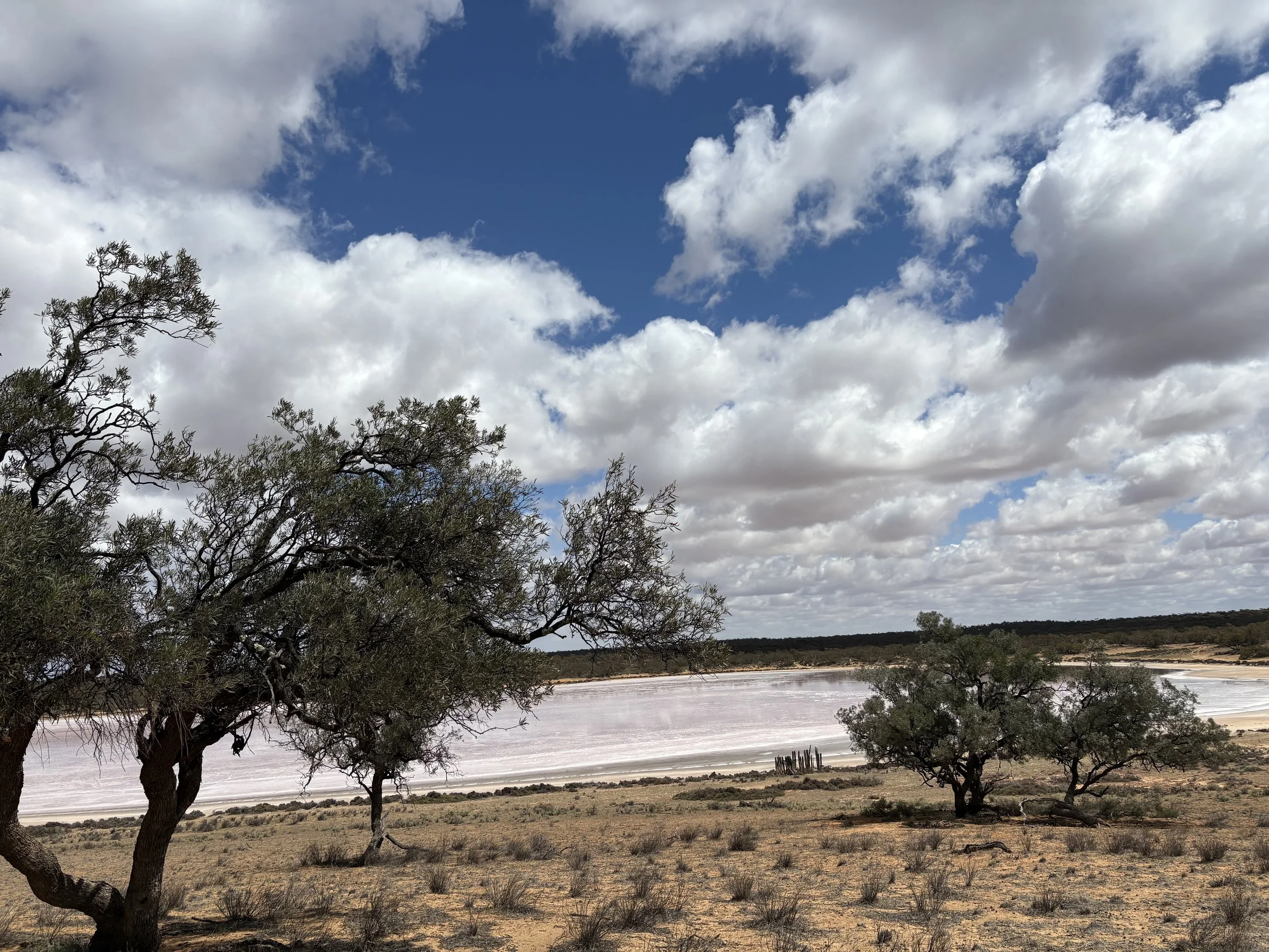 dementia care support groups bendigo