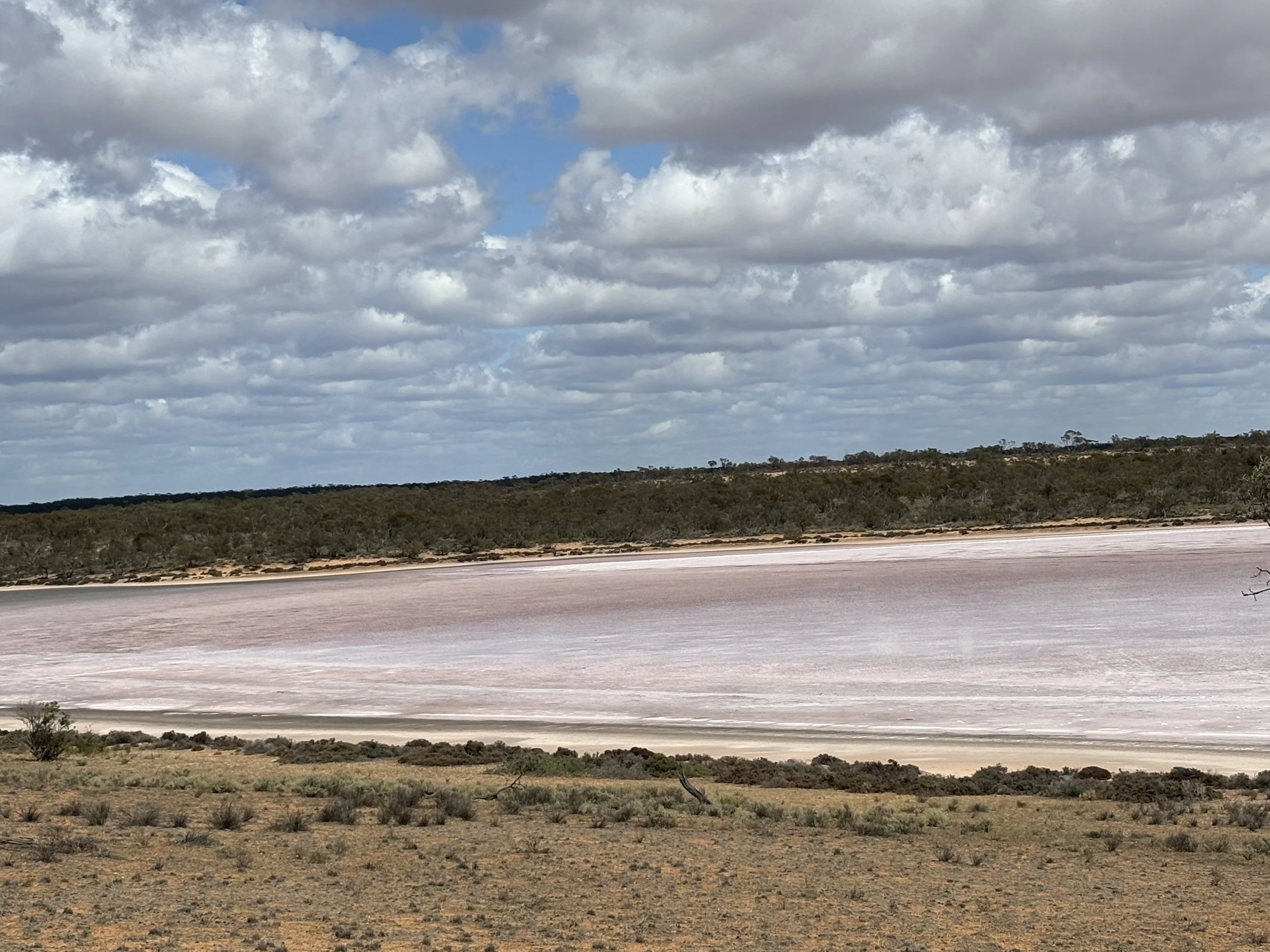 dementia care support groups mildura