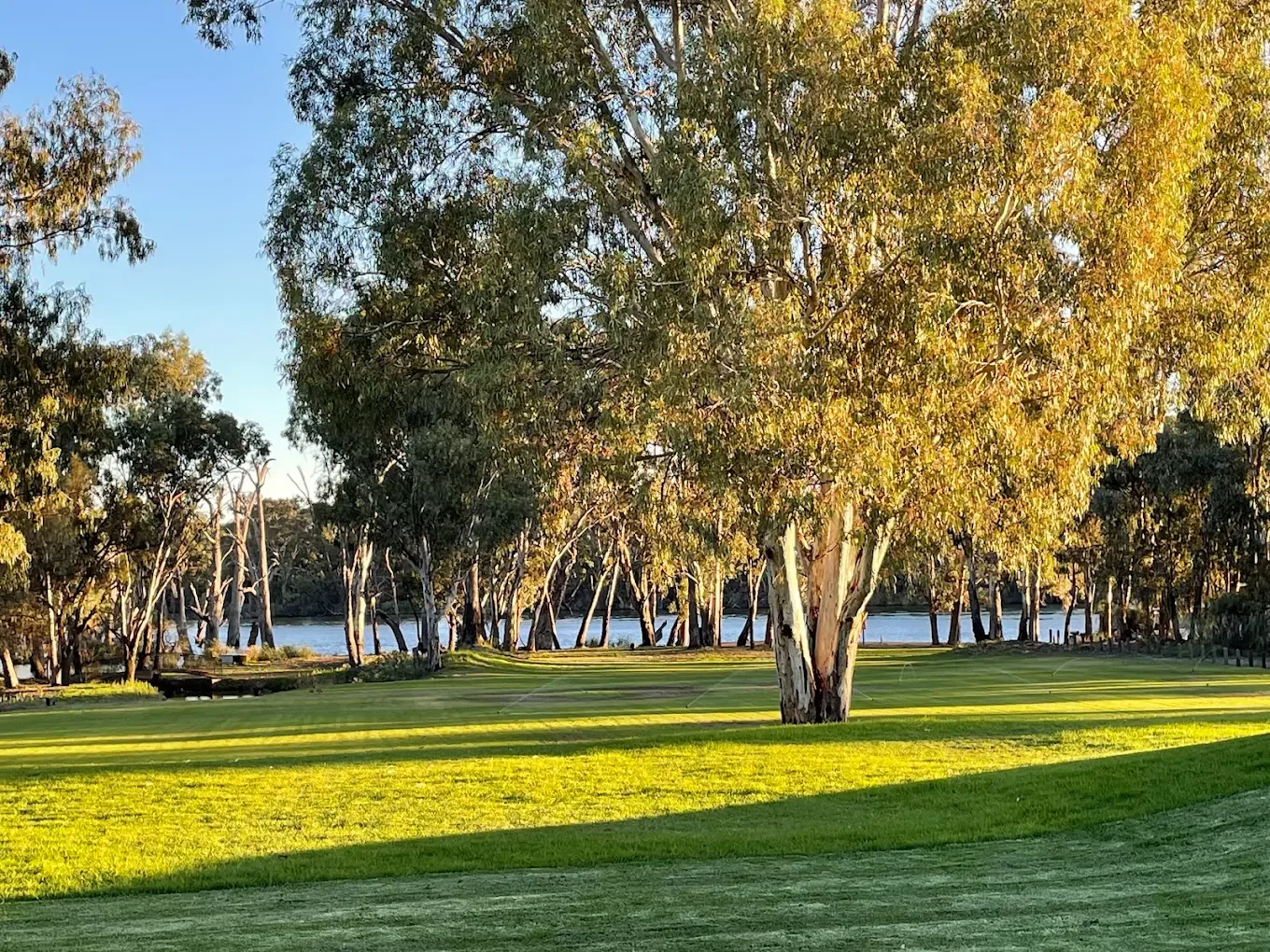 End-of-Year Celebration – Festive Lunch by the River