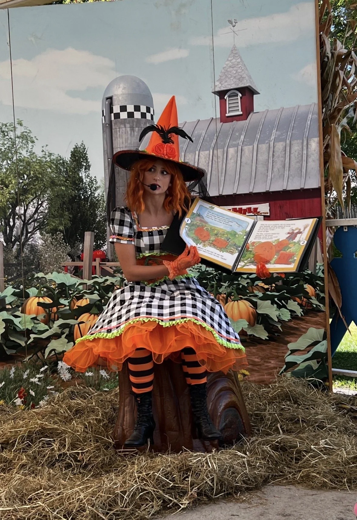 Story Land- RWS Global