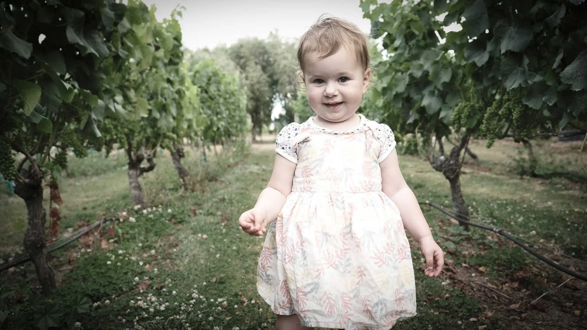 Outdoor Family portraits Palmerston North