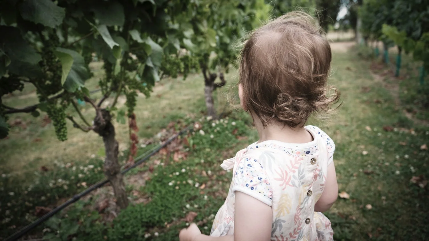 Leading portrait photographer in Palmerston North