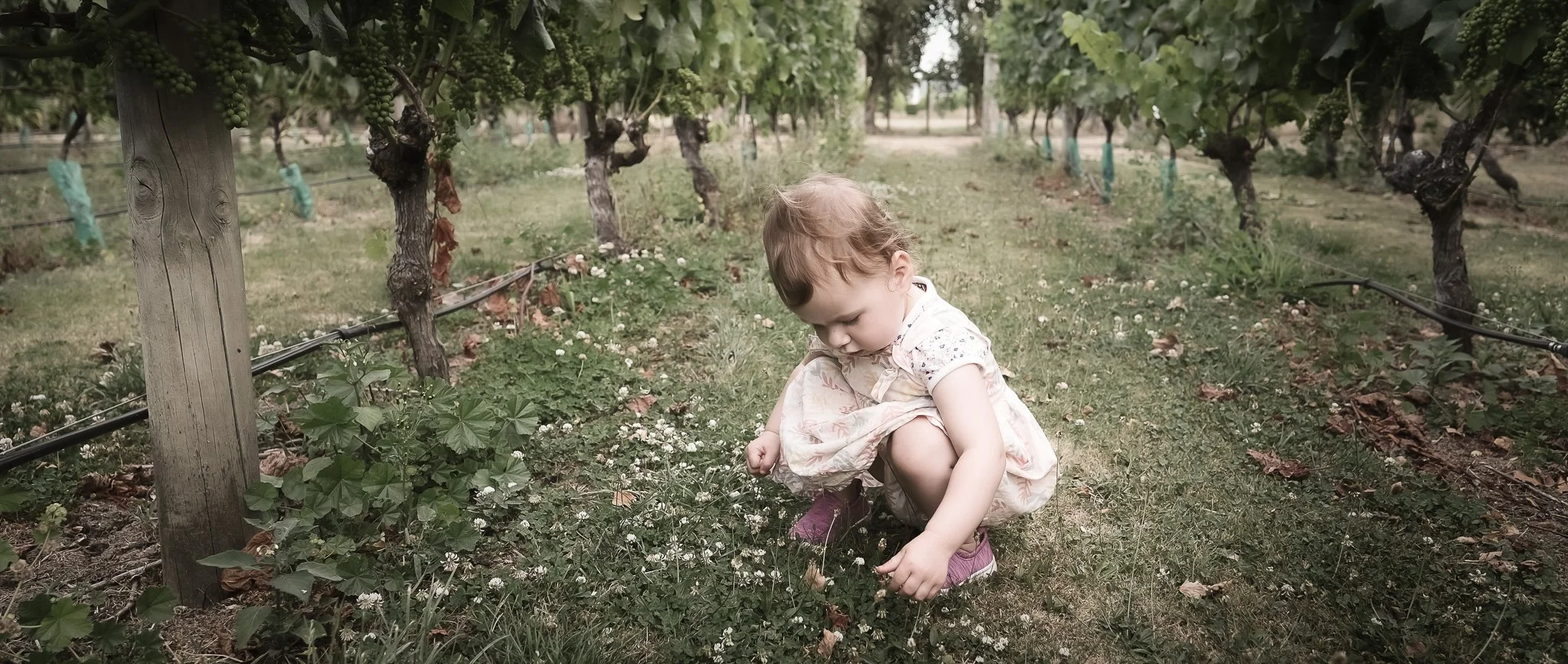 Beautiful storytelling through photography
