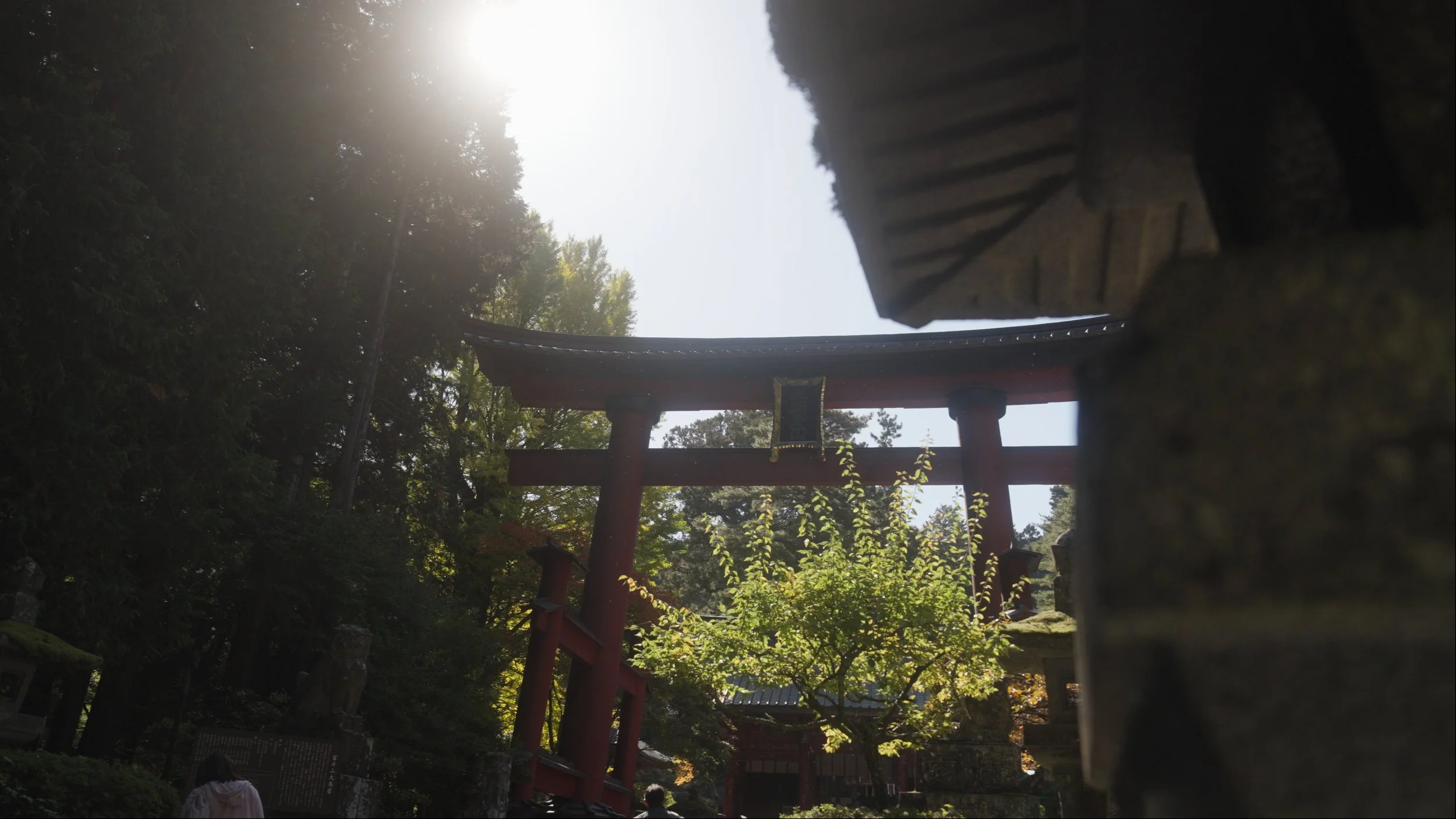 Site Thumbnail 4_1.3.2.jpg