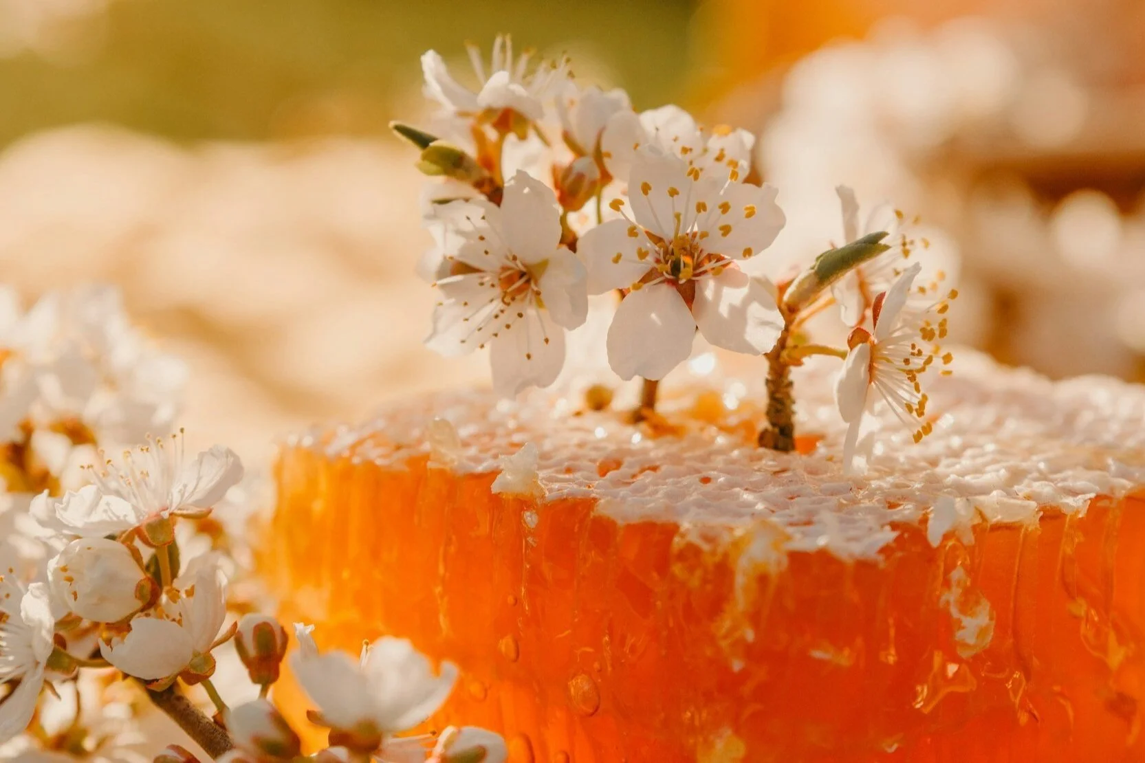 Close Up / Preparing red meat on the barbecue grill.
