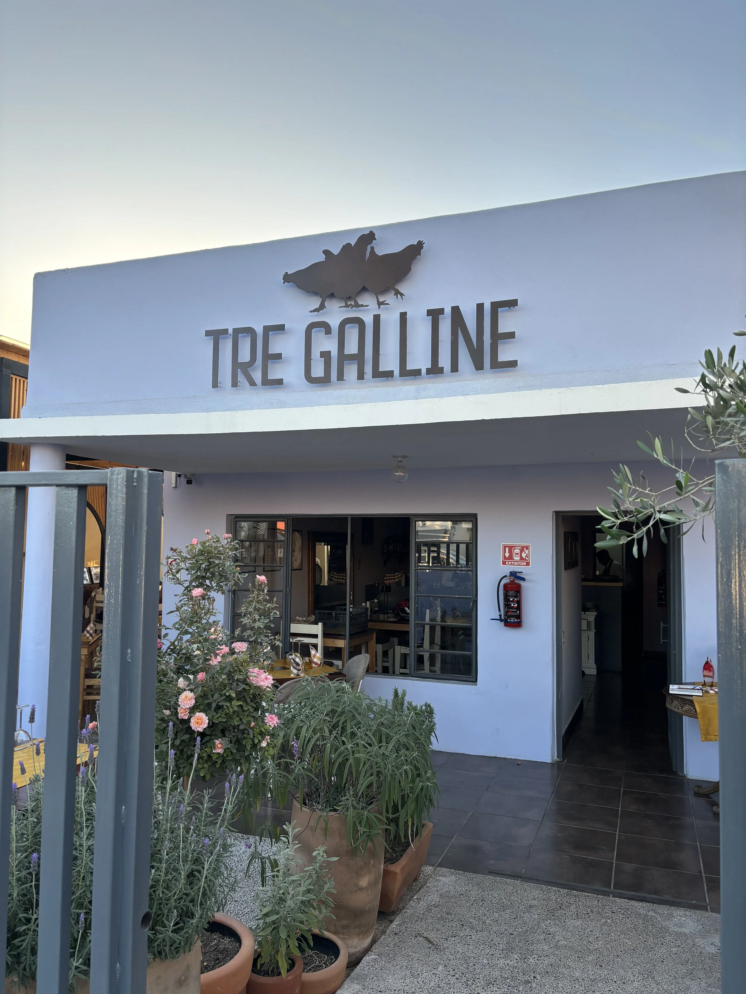 Italian Date Night in Todos Santos: Why You Need to Visit Tre Galline