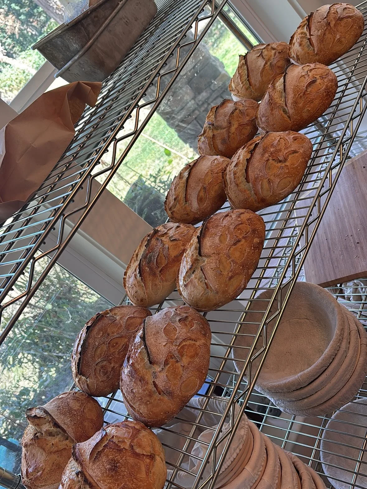 This weekend we are fully STOCKED with baked goods, eggs, honey, produce, pickles, so many things! Come check us out! Located next to Keizer rapids park at 2080 Chemawa Rd N
Keizer Oregon. Open Friday-Sunday 10am to 2pm. #farmstand #homestead #pnw #o