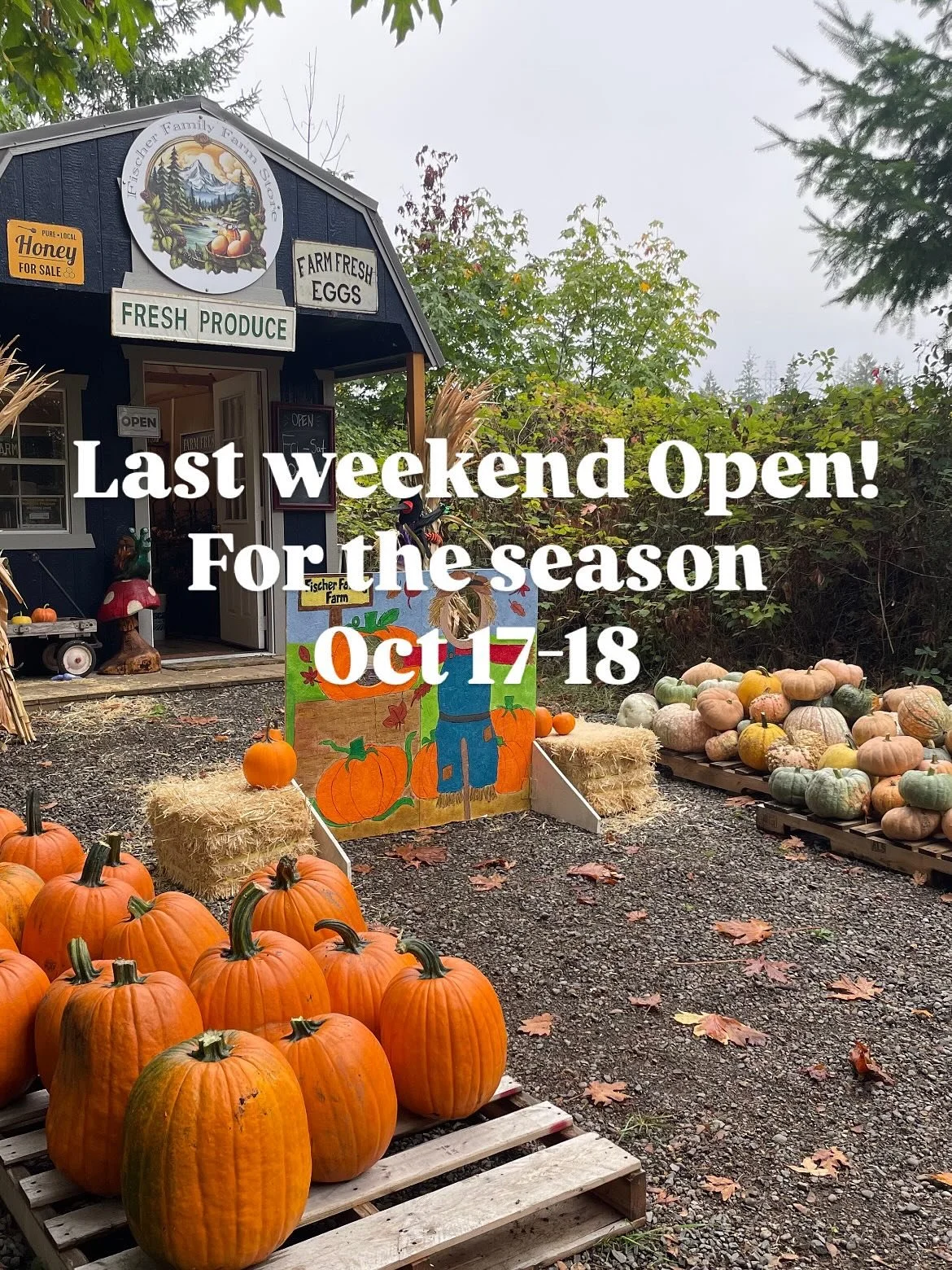 Come on by! Open 10am to 2pm Friday and Saturday. Get a free pumpkin with purchase! 

This will be our last weekend open for the season. Thank you so much for all of your support this year! We  have been so blessed and are excited to return in spring