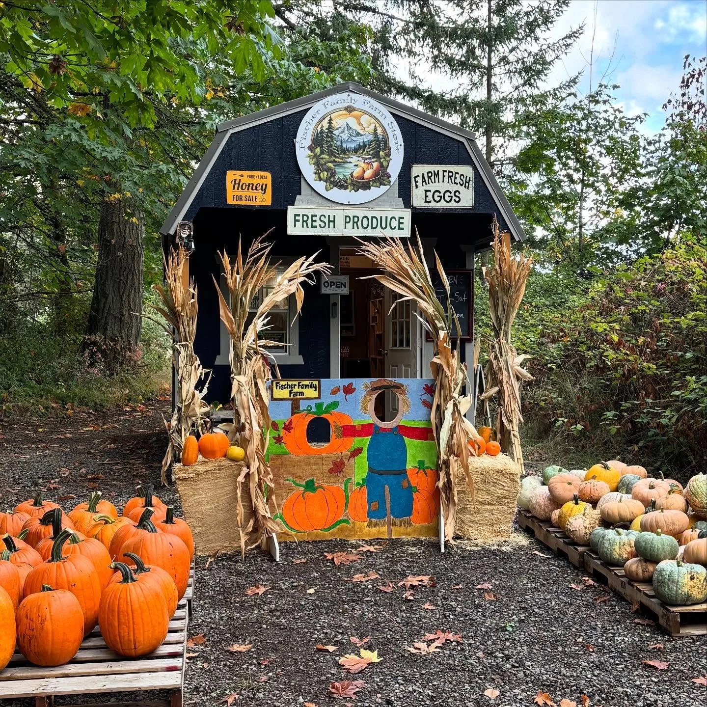 ITS THE SEASON! This weekend we will have lots of pumpkins, baked goods like specialty sourdough and mini pumpkin pies, we will also be giving out hot Apple cider to our visitors! Come on by this season. We also have lots of produce left, and tons of