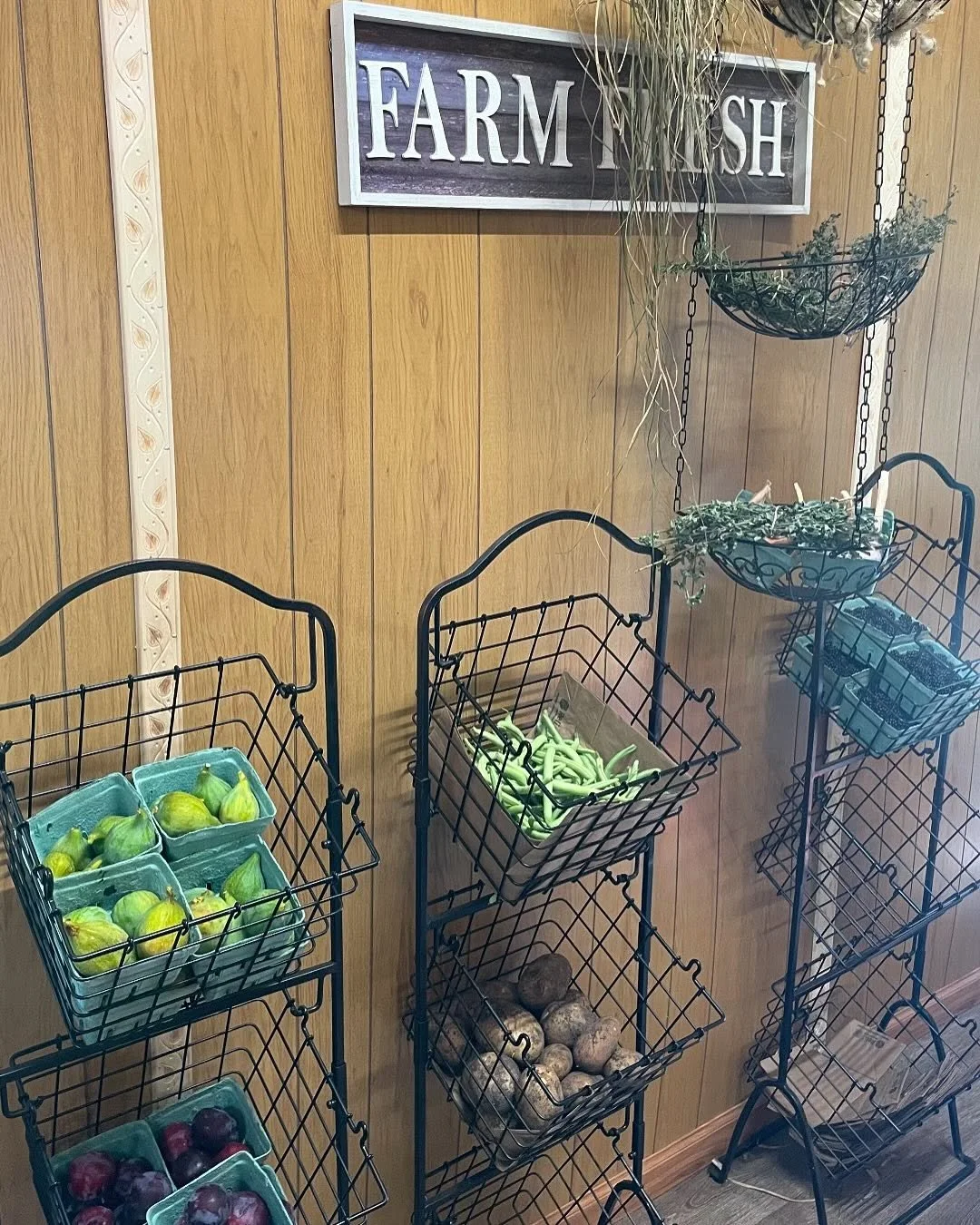 If you didn&rsquo;t know, here at the Fischer Family Farm store we accept cash/card, and Farm Direct WIC dollars 😁 We have lots of goodies and fresh produce available. Open Friday-Sunday from 10am to 2pm. #farmstand #oregon