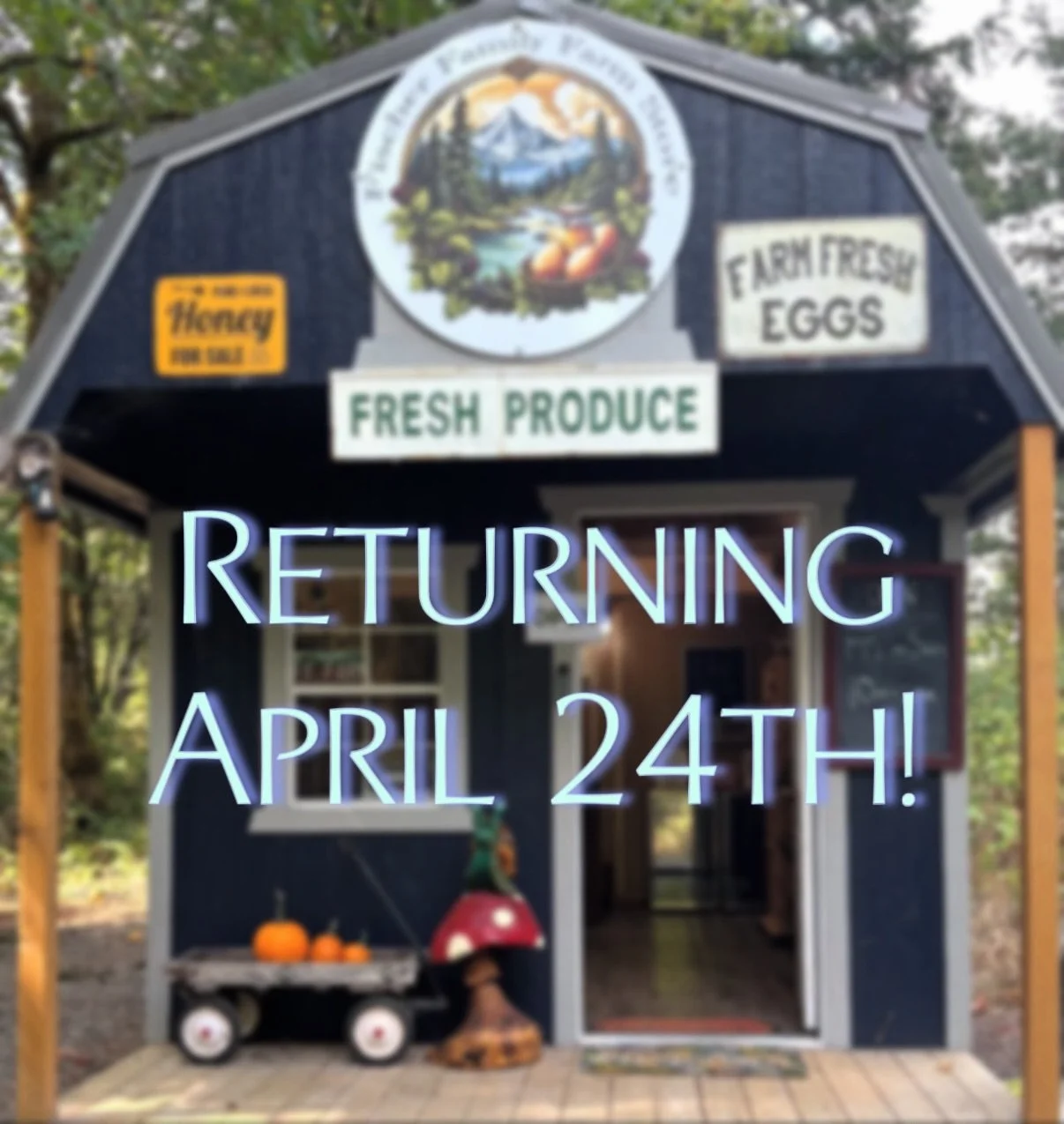 We are so excited to be returning for the season! This will be our third year open and we have lots of new things in store for our farm! 🌻
Right here in Keizer our farm stand offers raw local honey, farm fresh chicken and duck eggs, organic produce,
