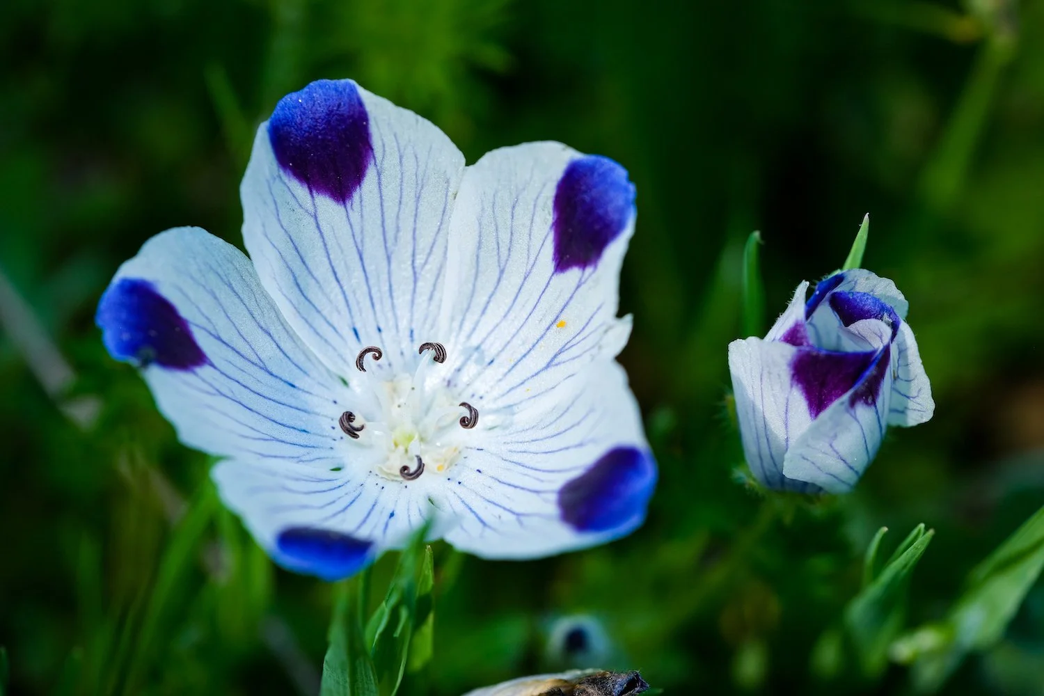 2022-04-30 15.07.12.jpg