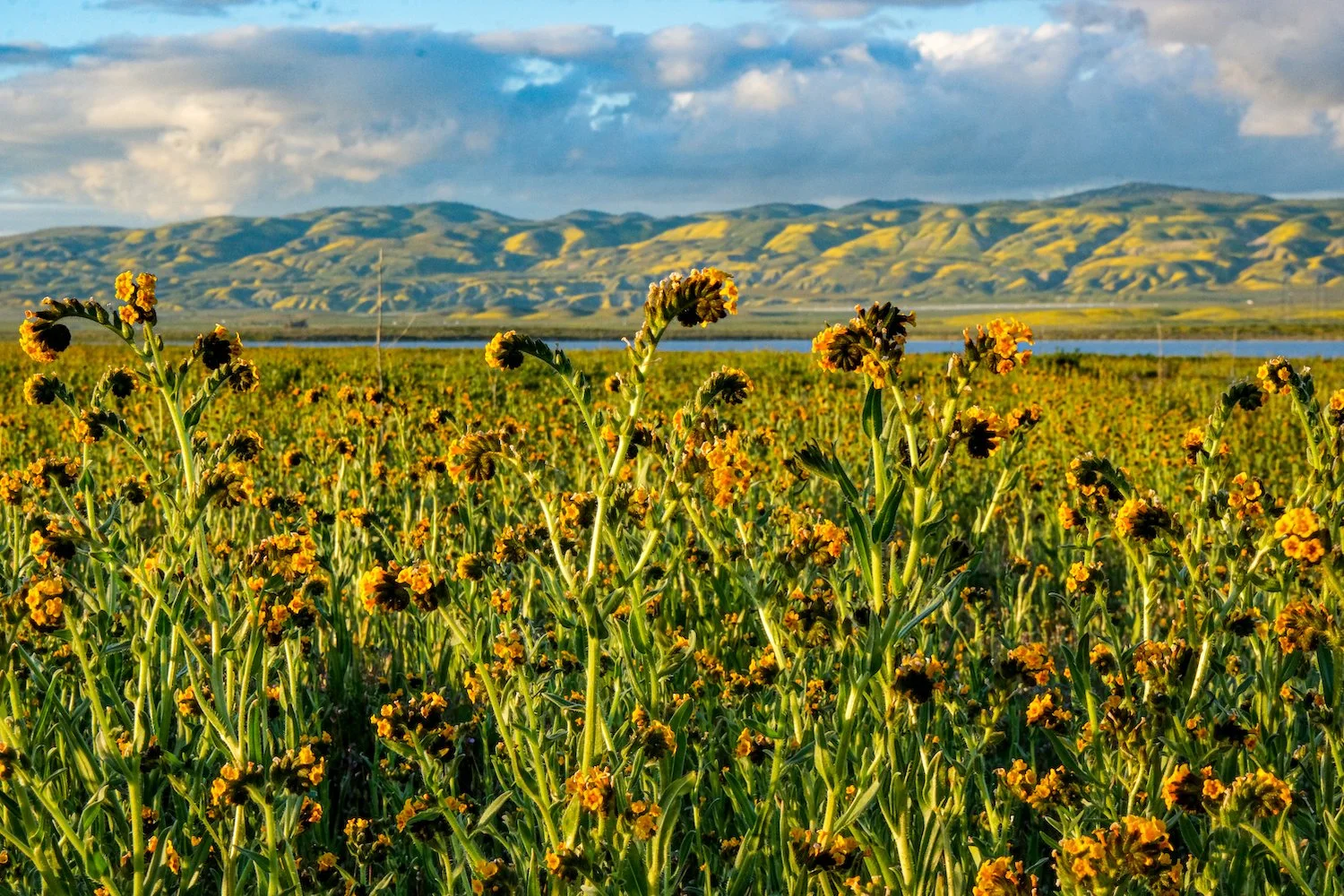 2023-04-02 19.56.21.jpg