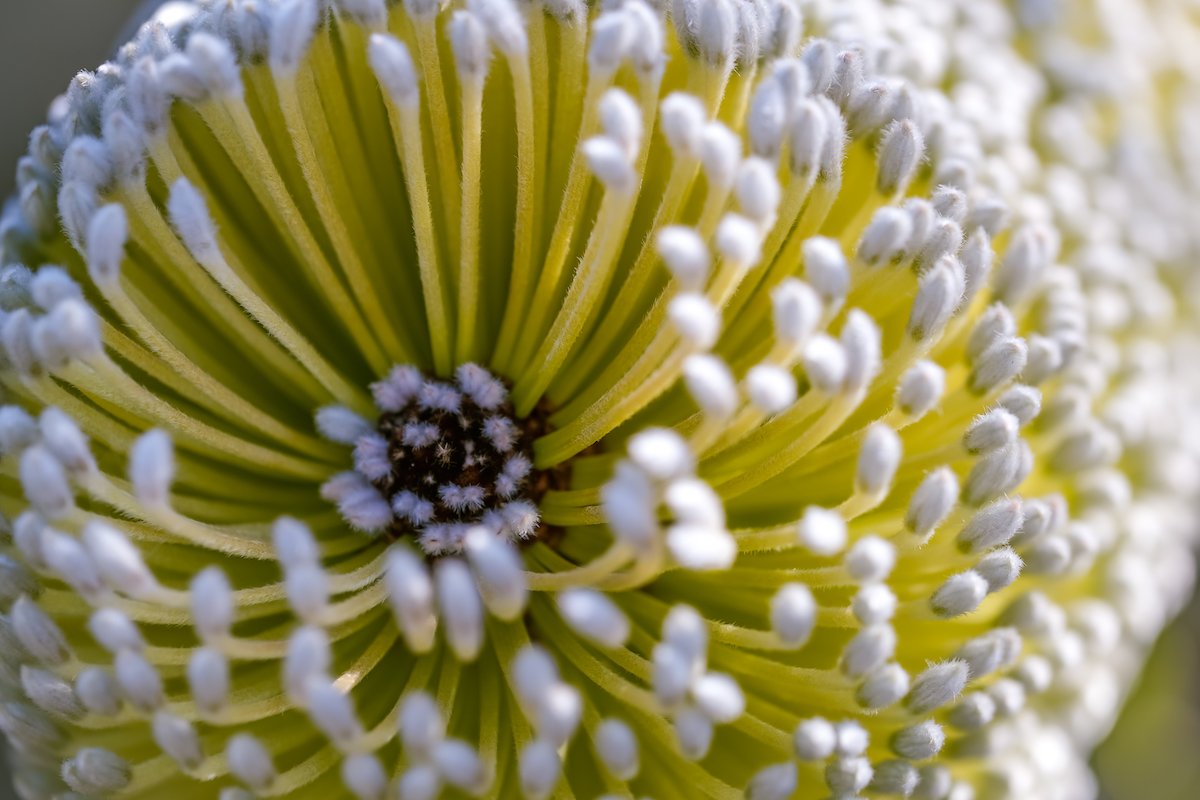 2023-03-05 17.52.24-2 2.jpg